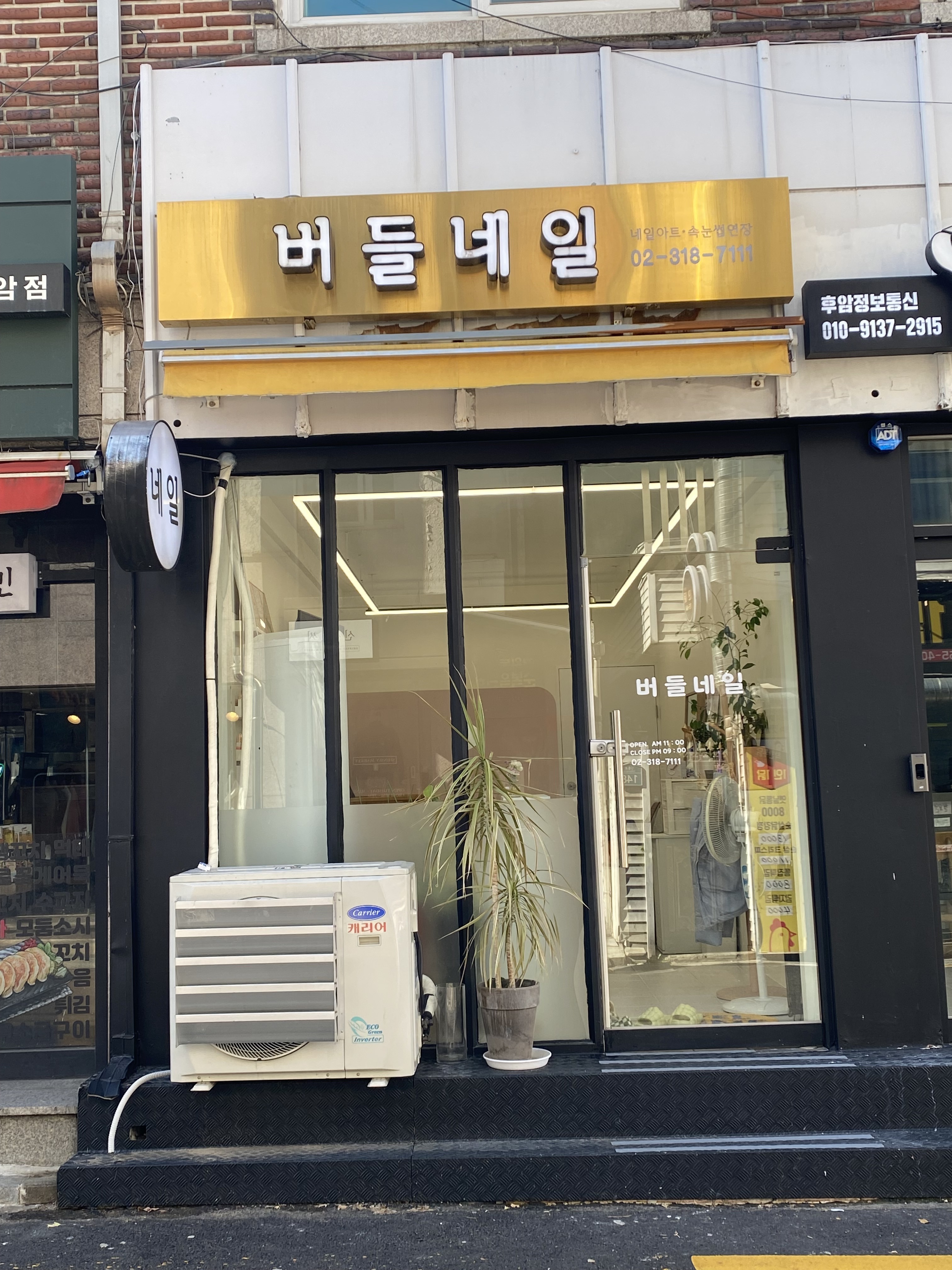 버들네일