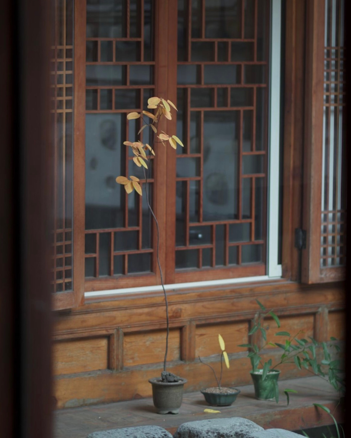 이너마더 대표 이미지