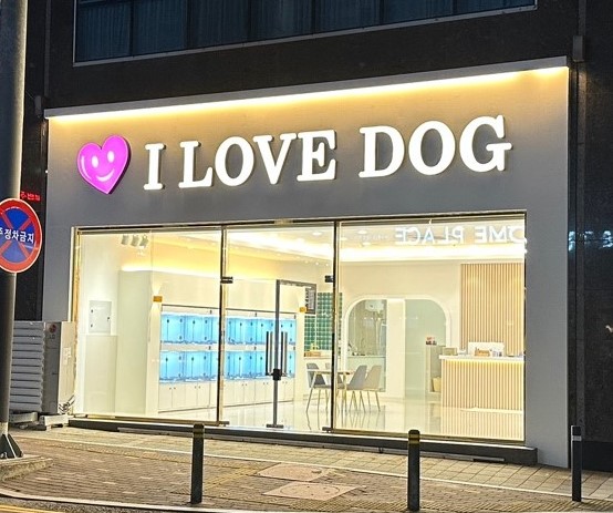 강아지분양 애견입양 아이러브독 천안점