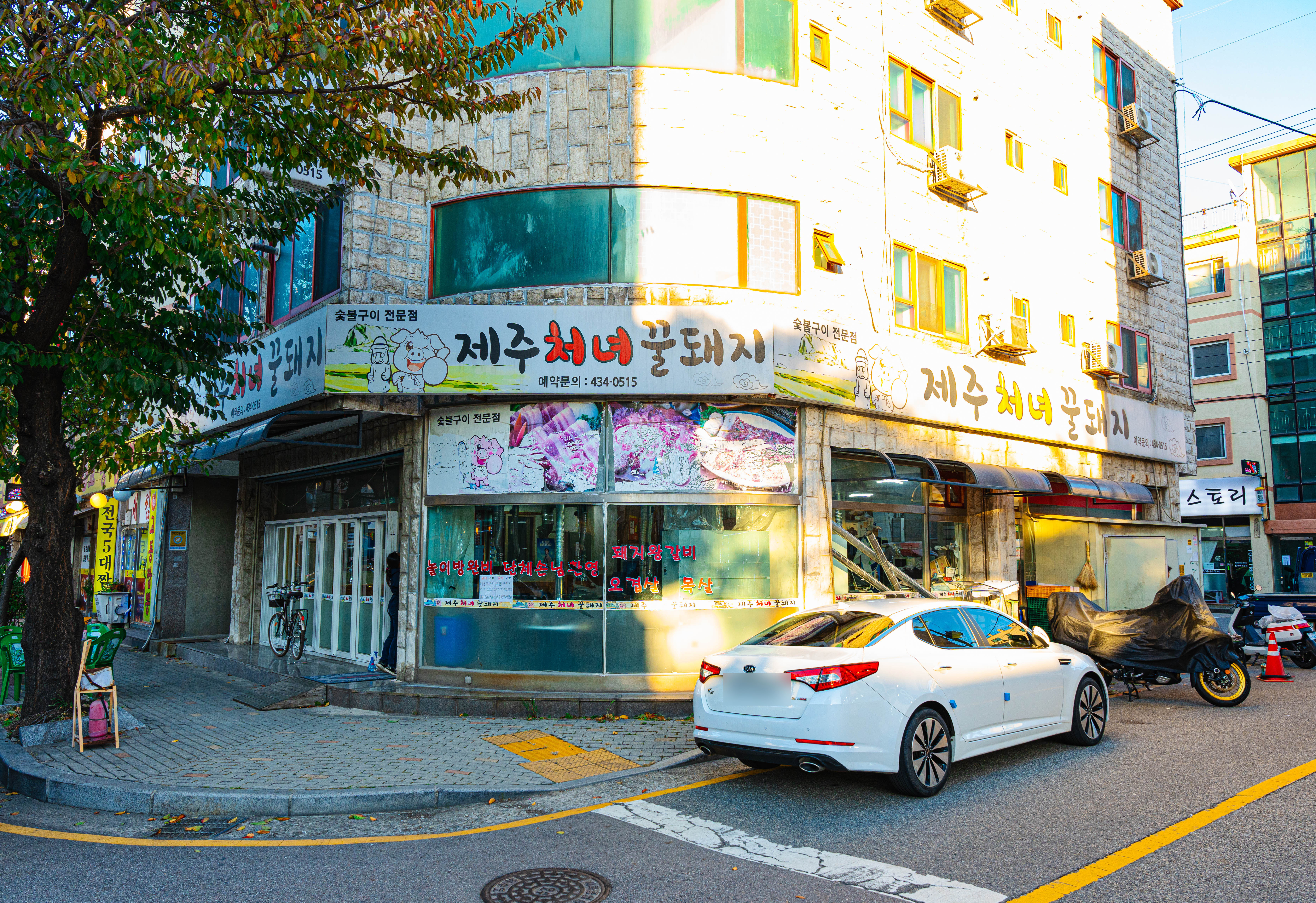 제주처녀꿀돼지