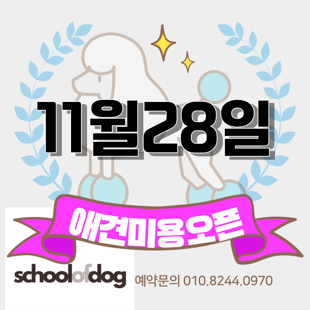 스쿨오브독 대표 이미지