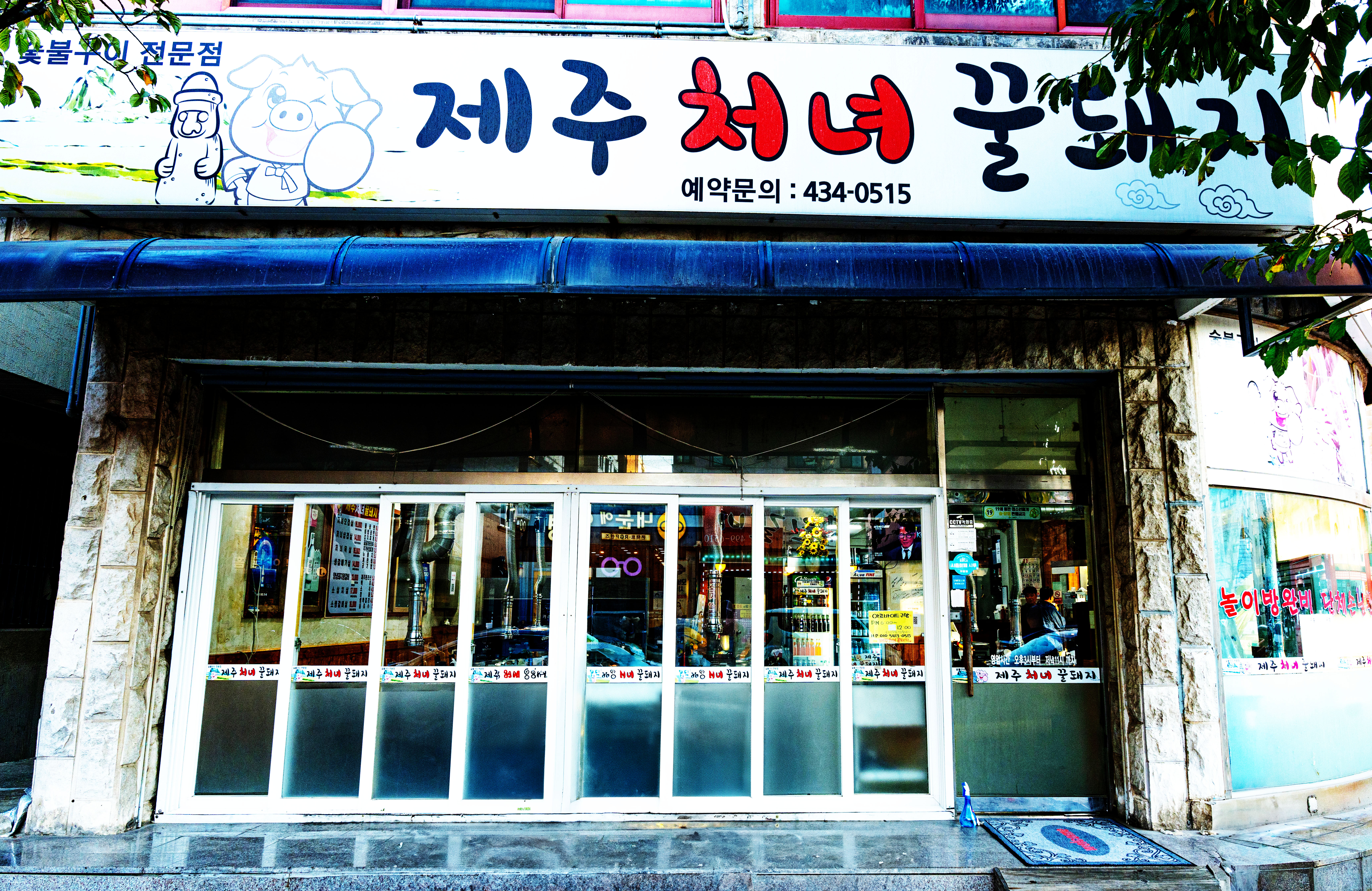 제주처녀꿀돼지