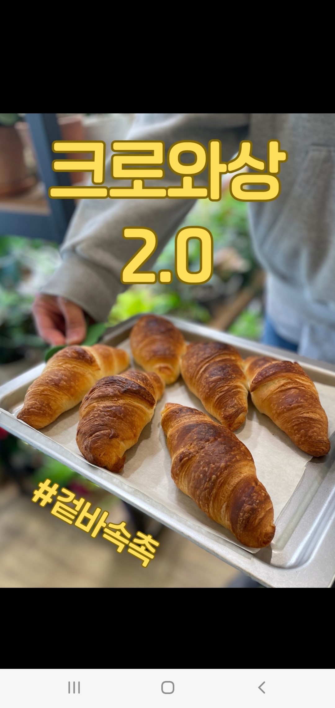 그로우 그리너리