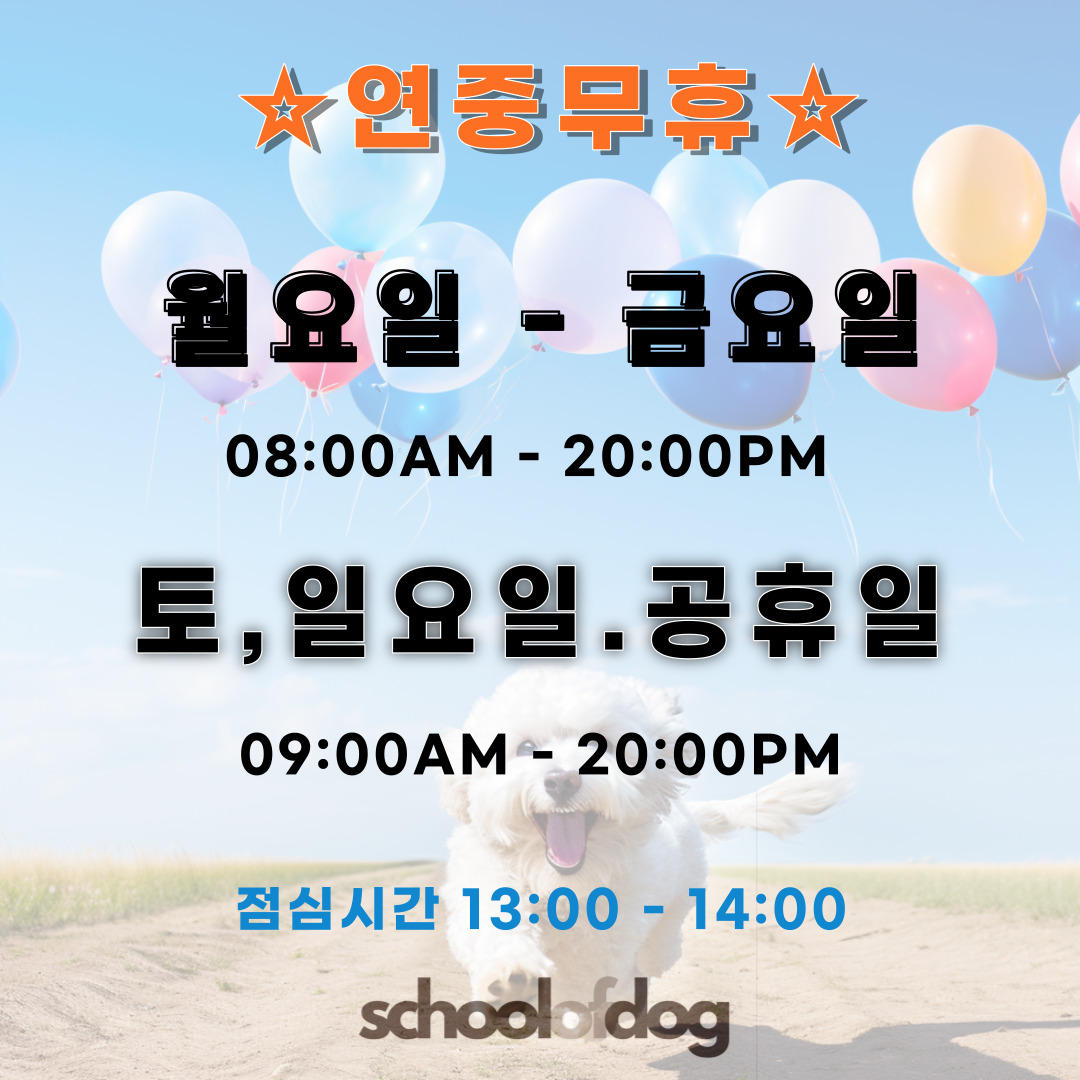 스쿨오브독 대표 이미지