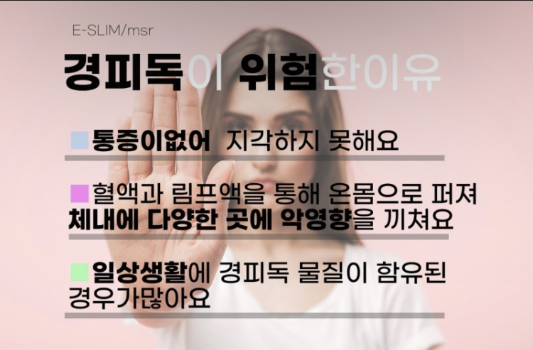 파스텔 photo 3
