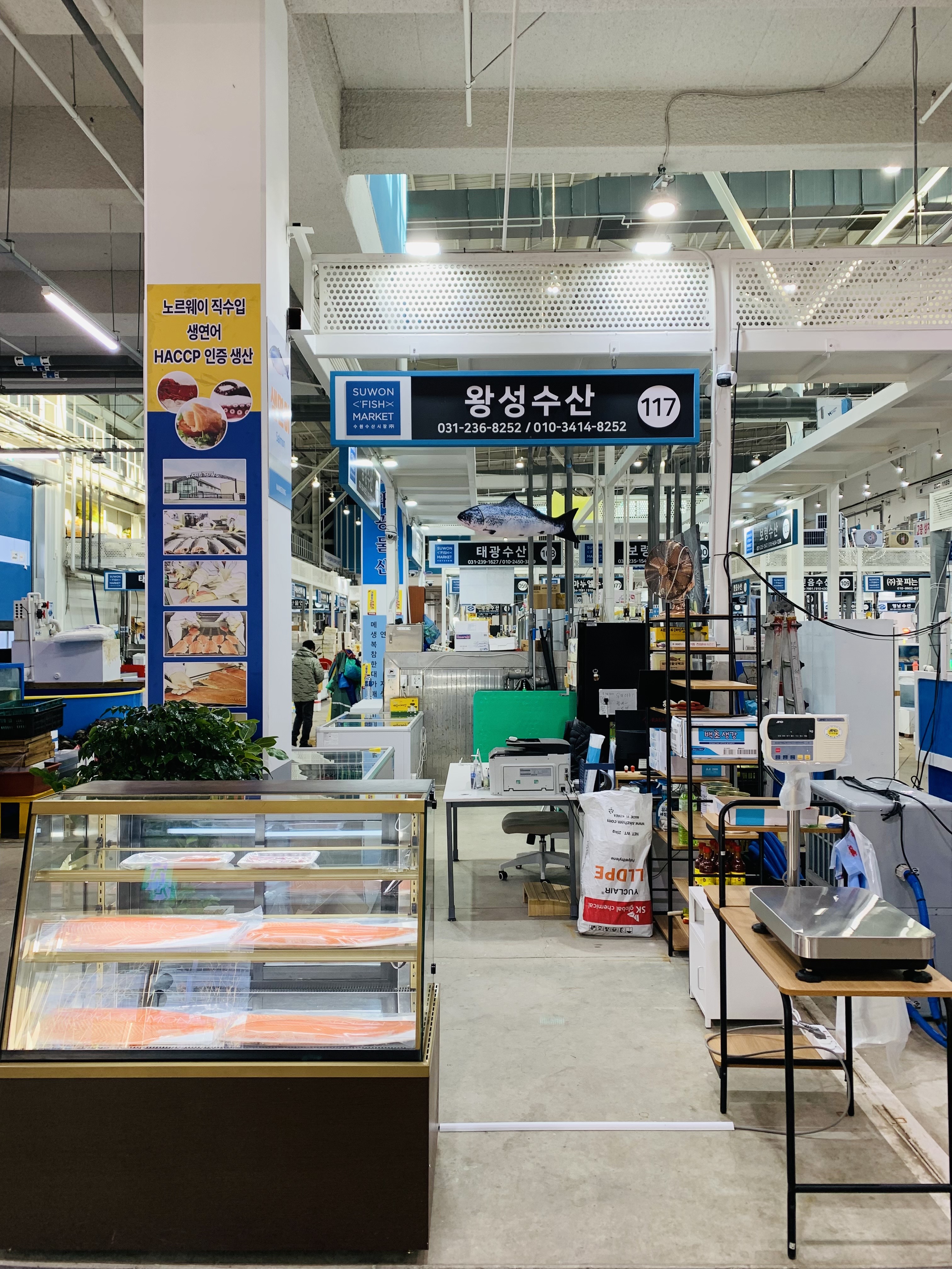 왕성수산