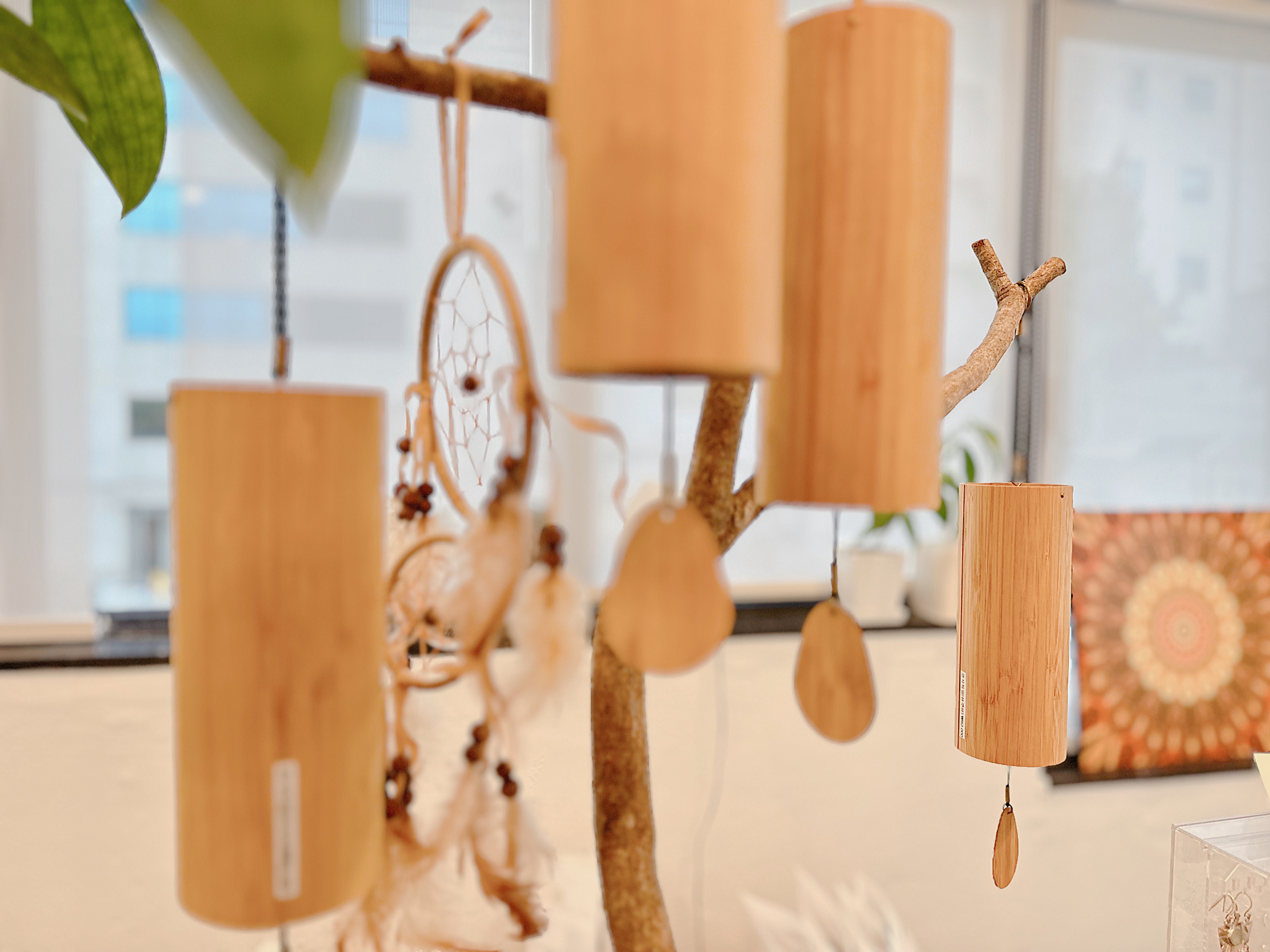 젠힐링샵 대표 이미지