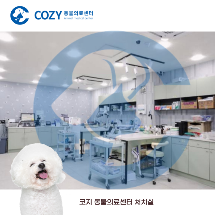 코지동물의료센터 인천서구청점 대표 이미지