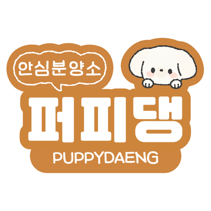 퍼피댕 안심분양소 강아지분양 애견입양 천안아산점