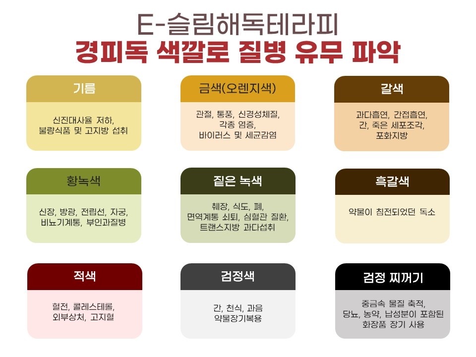 파스텔 photo 4