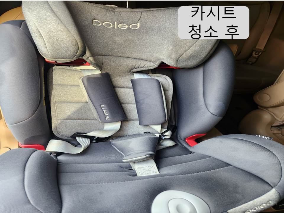 창원출장세차 DANDY스팀 마산본점