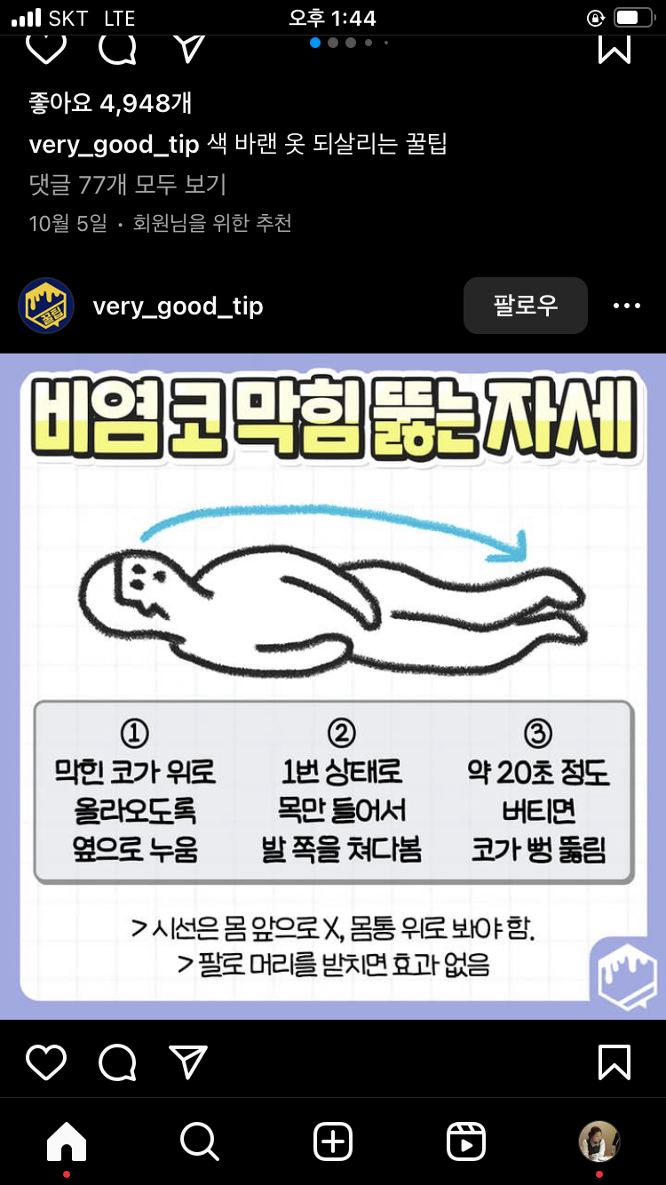 파스텔 photo 7