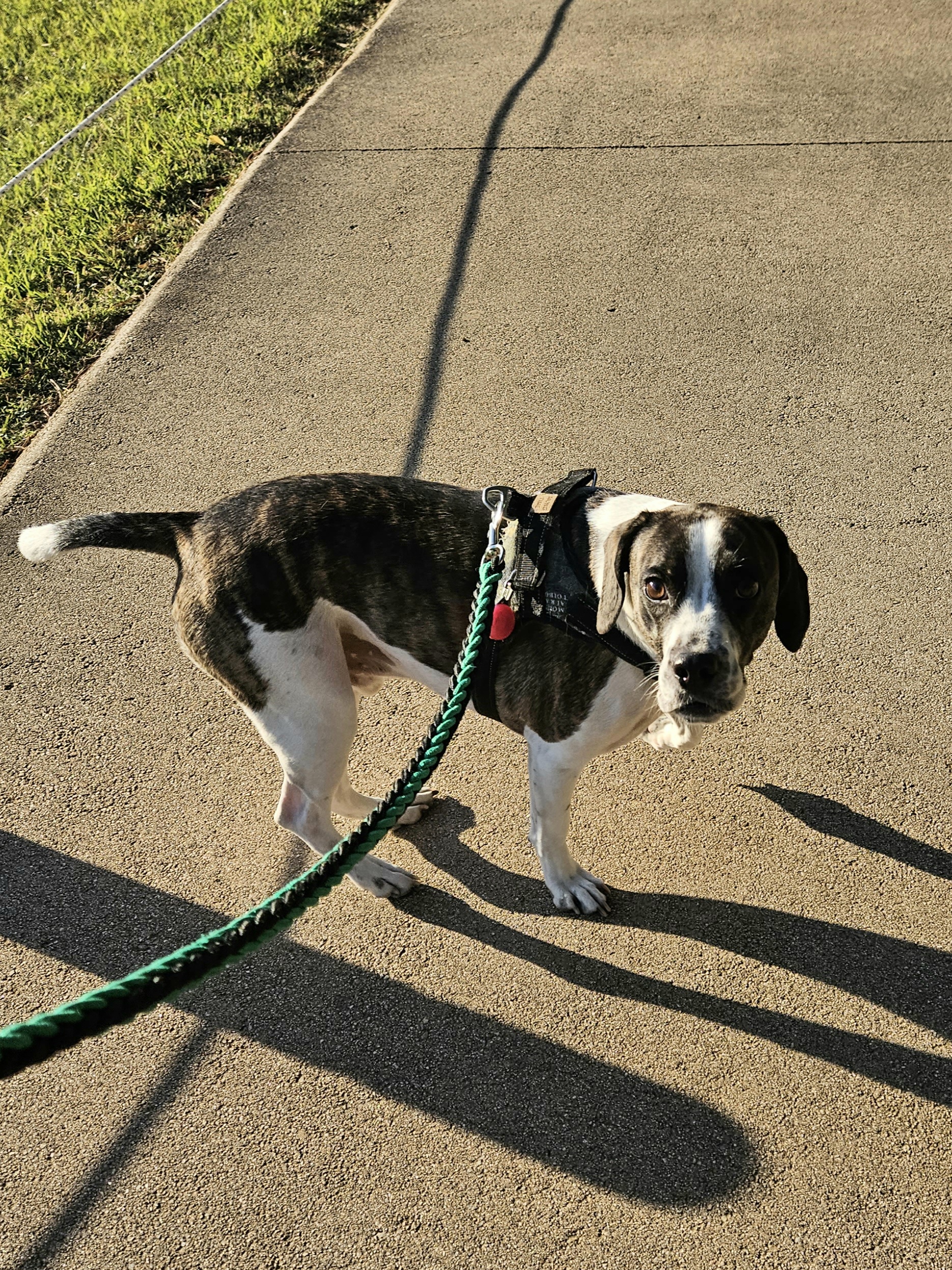 블루워크 대표 이미지