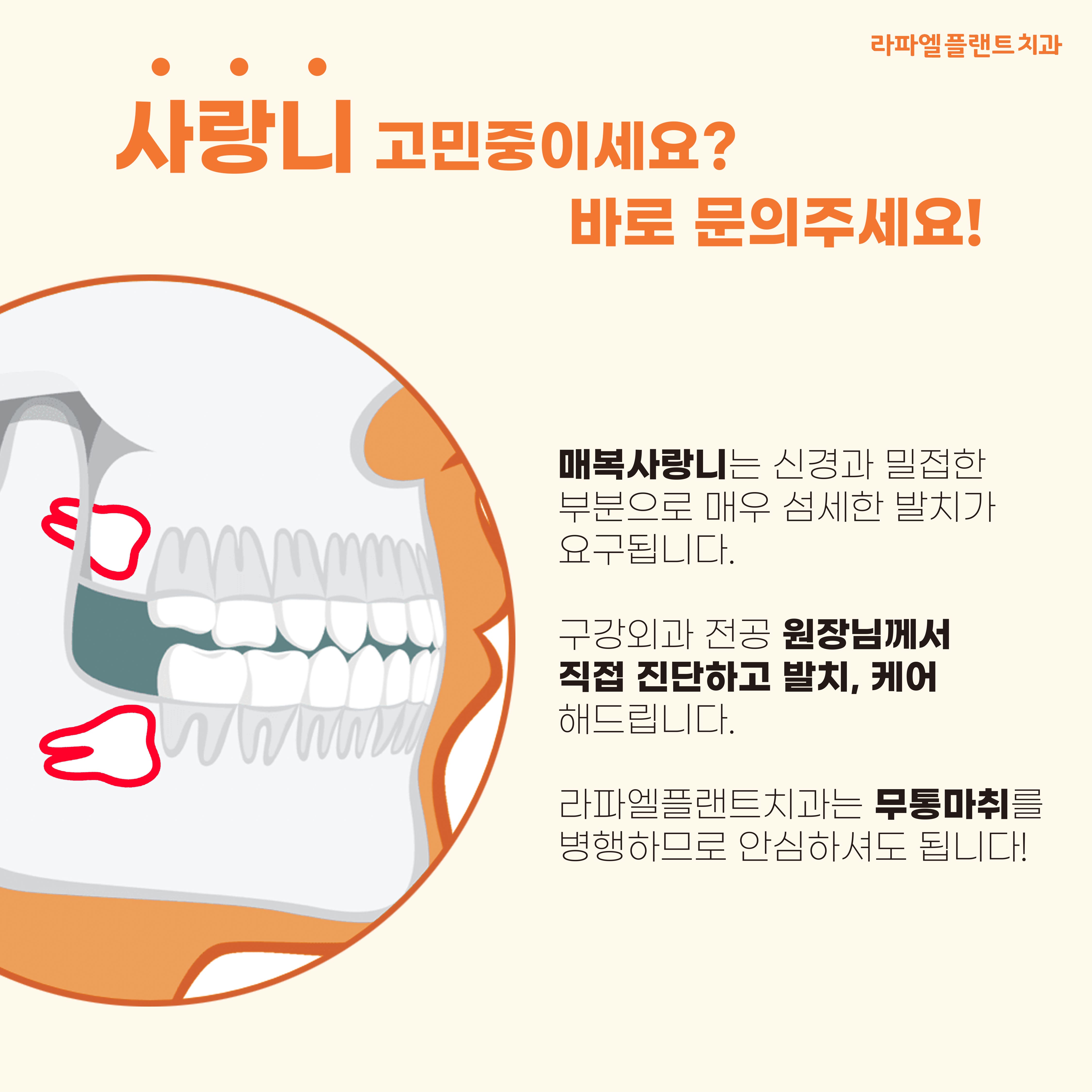 라파엘플랜트치과의원 대표 이미지