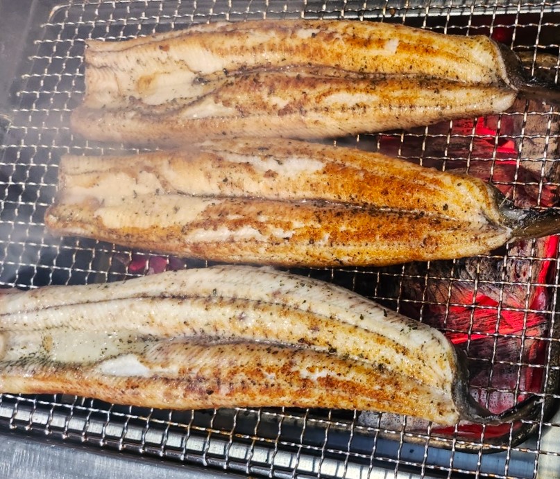 왕숯불민물장어