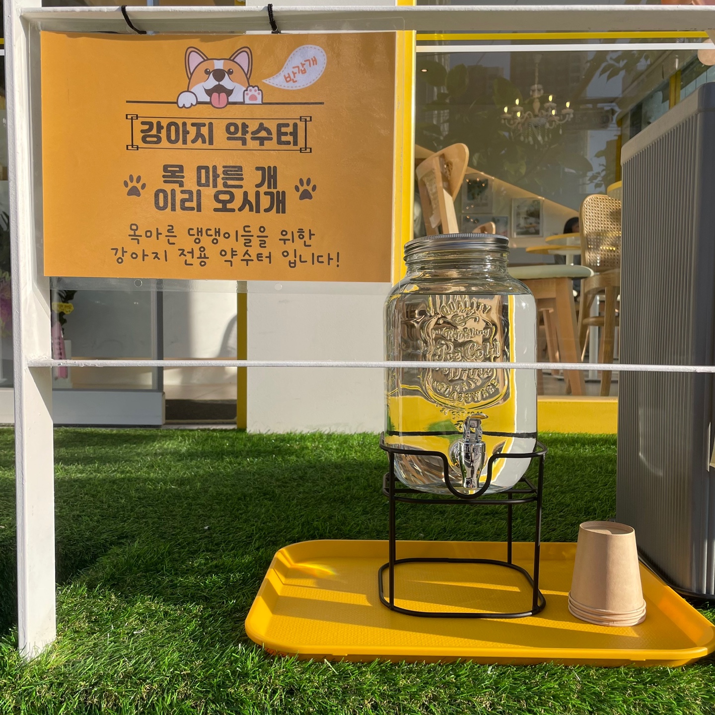 카페범블비