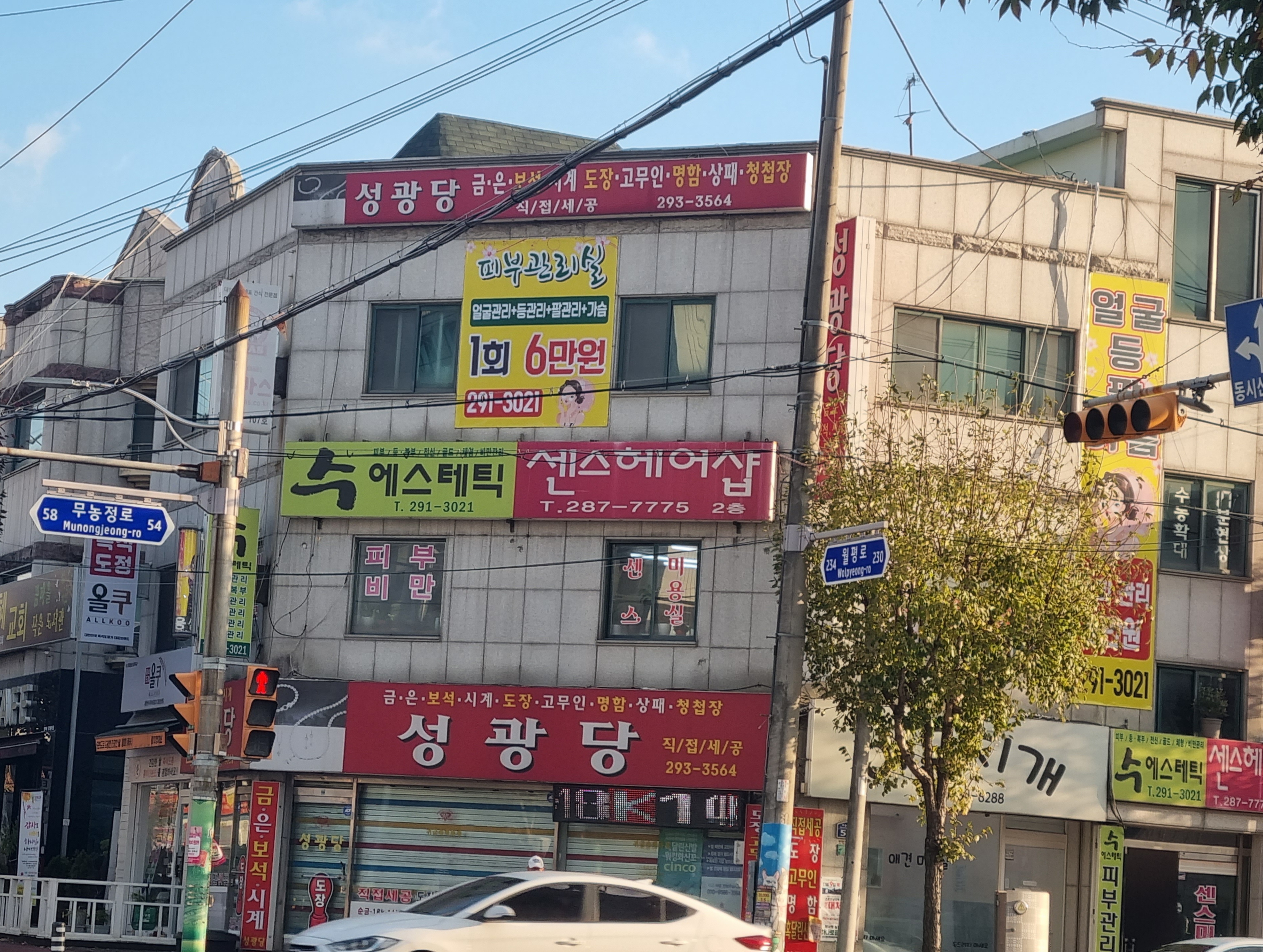 수에스테틱