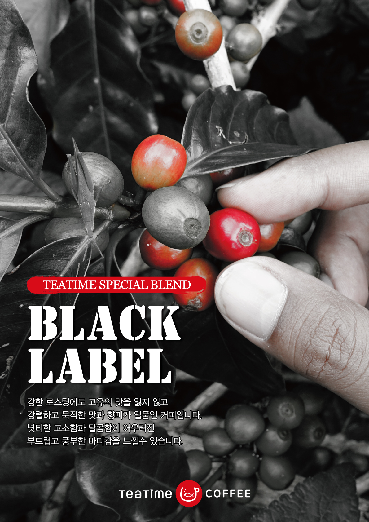티타임커피 월남골점