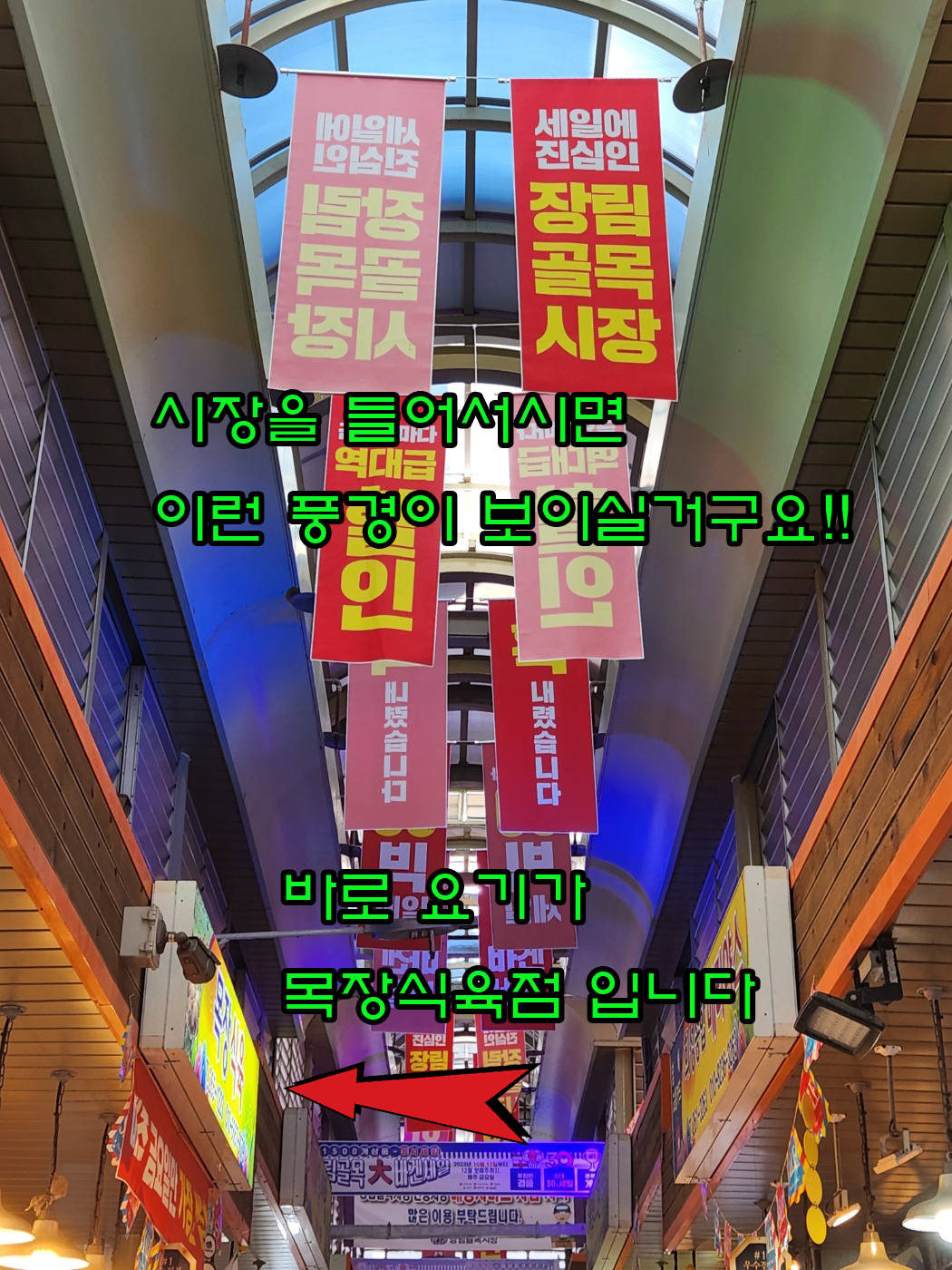 목장식육점