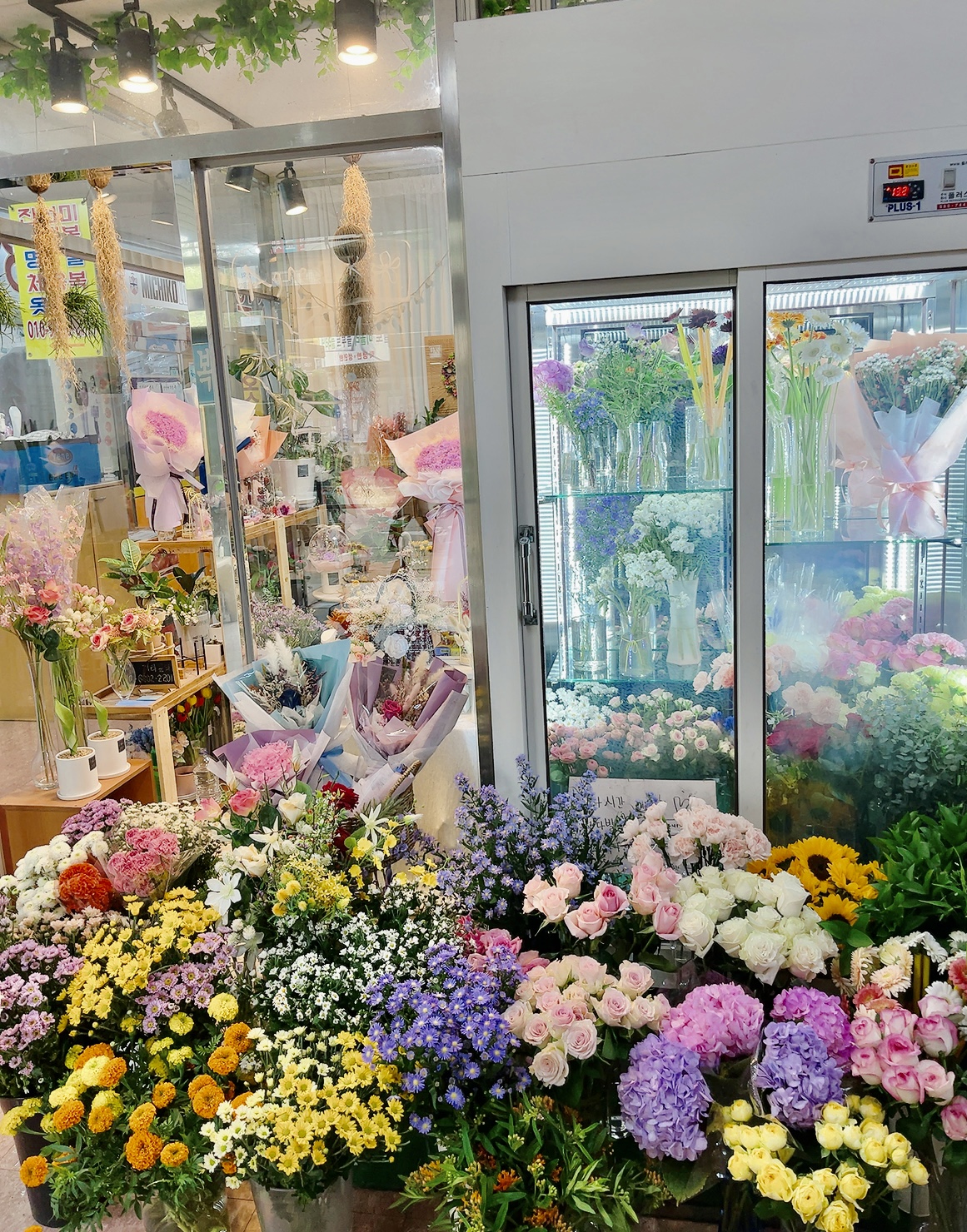 분당 아그네스 꽃집 이미지