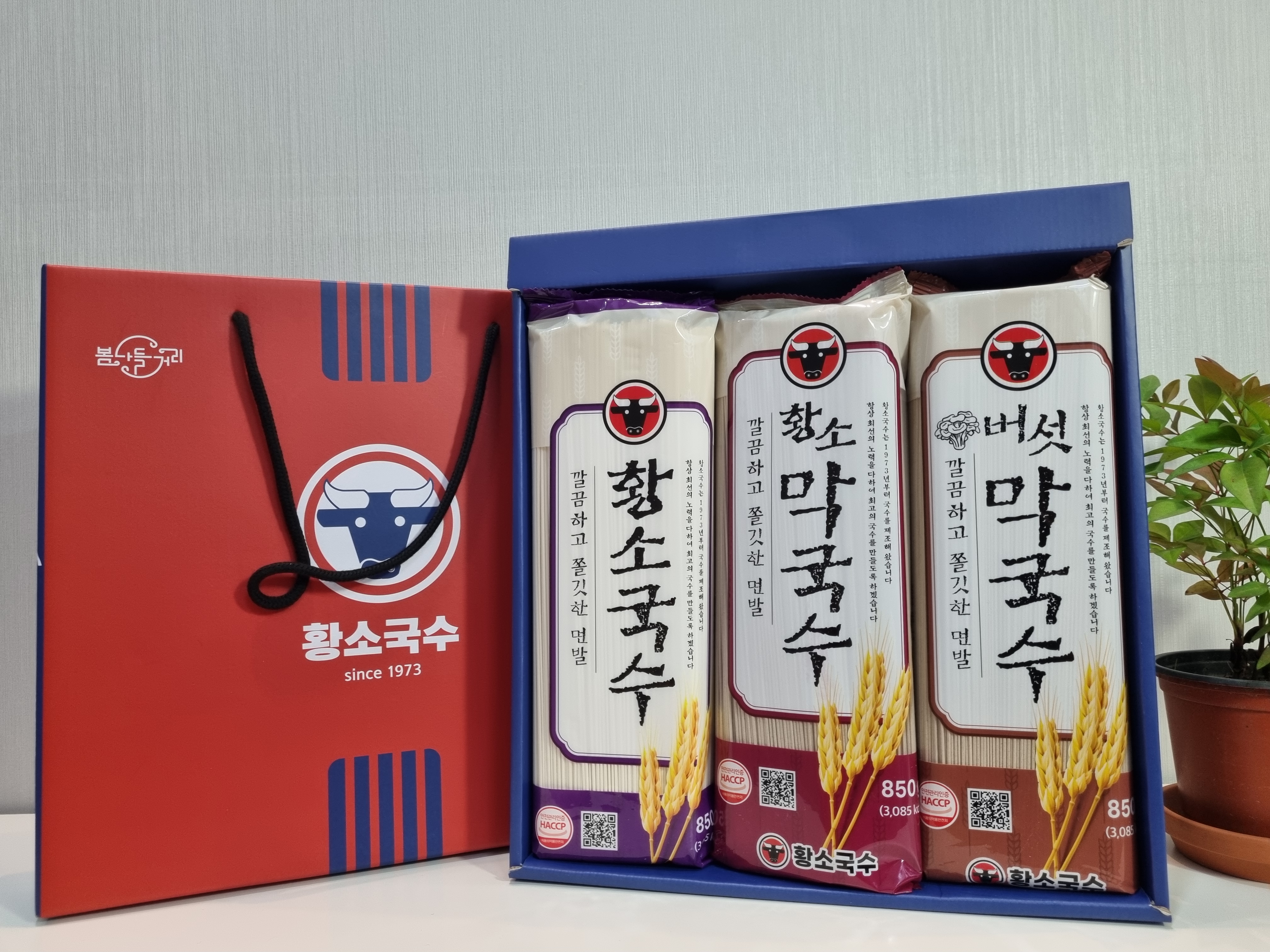 황소국수