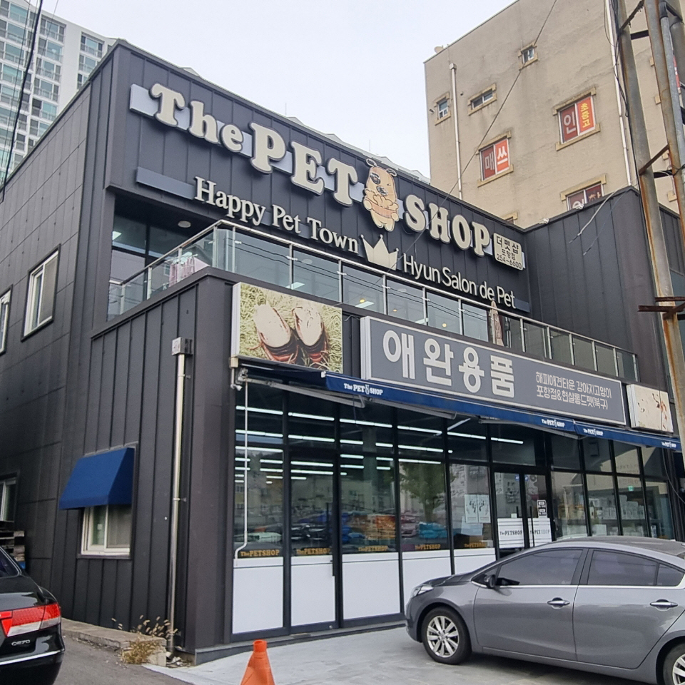 해피애견센터 경기 애견여행지