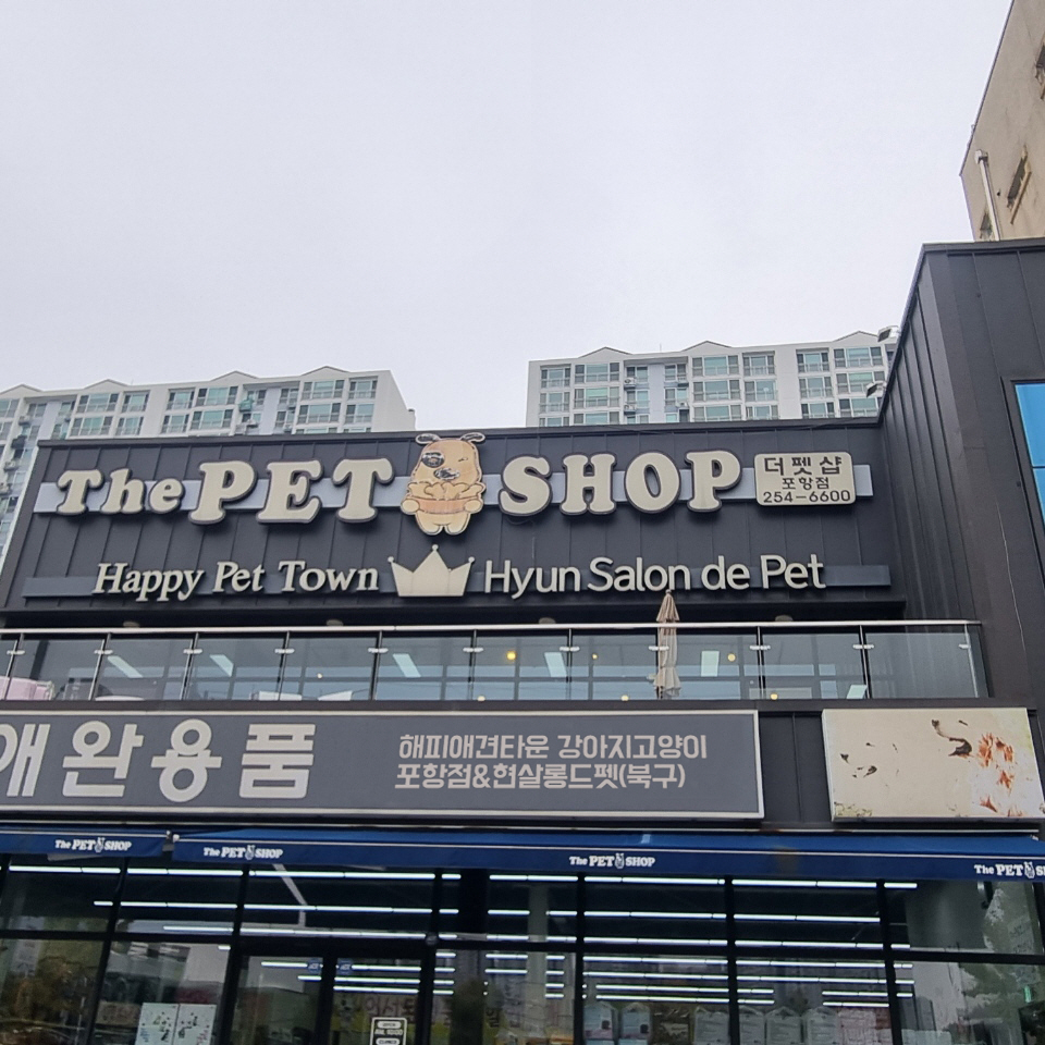 해피애견타운 강아지고양이 포항점&현살롱드펫 북구