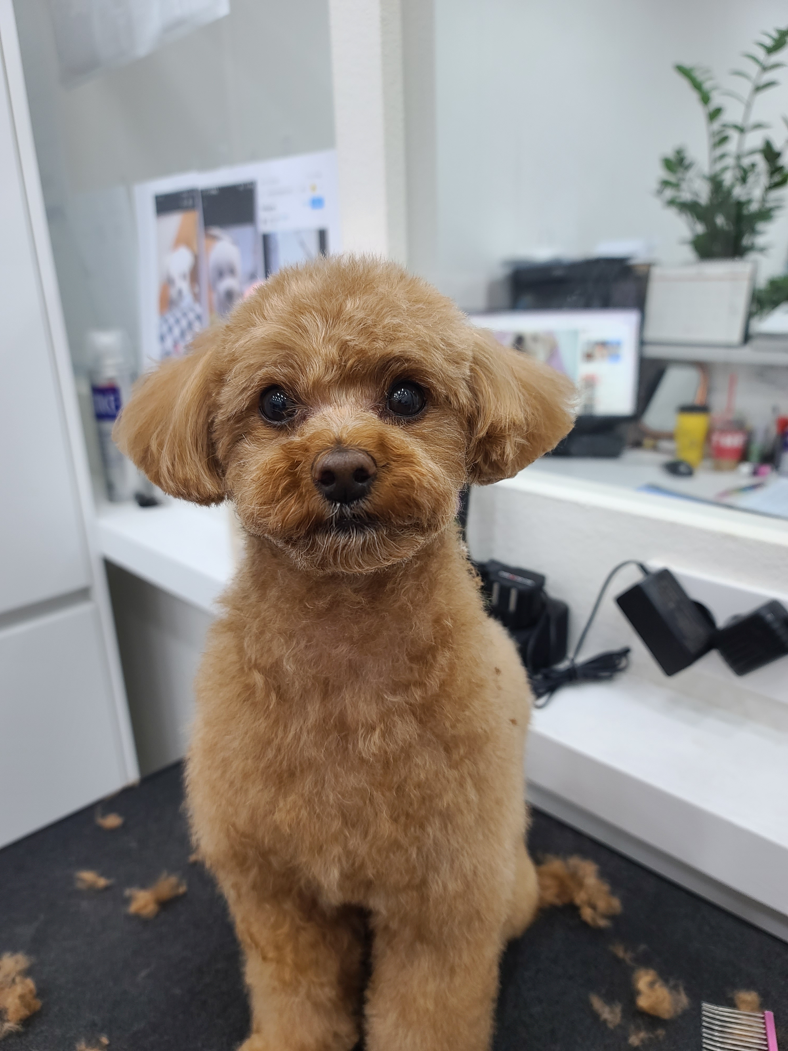 해피&라온 대표 이미지