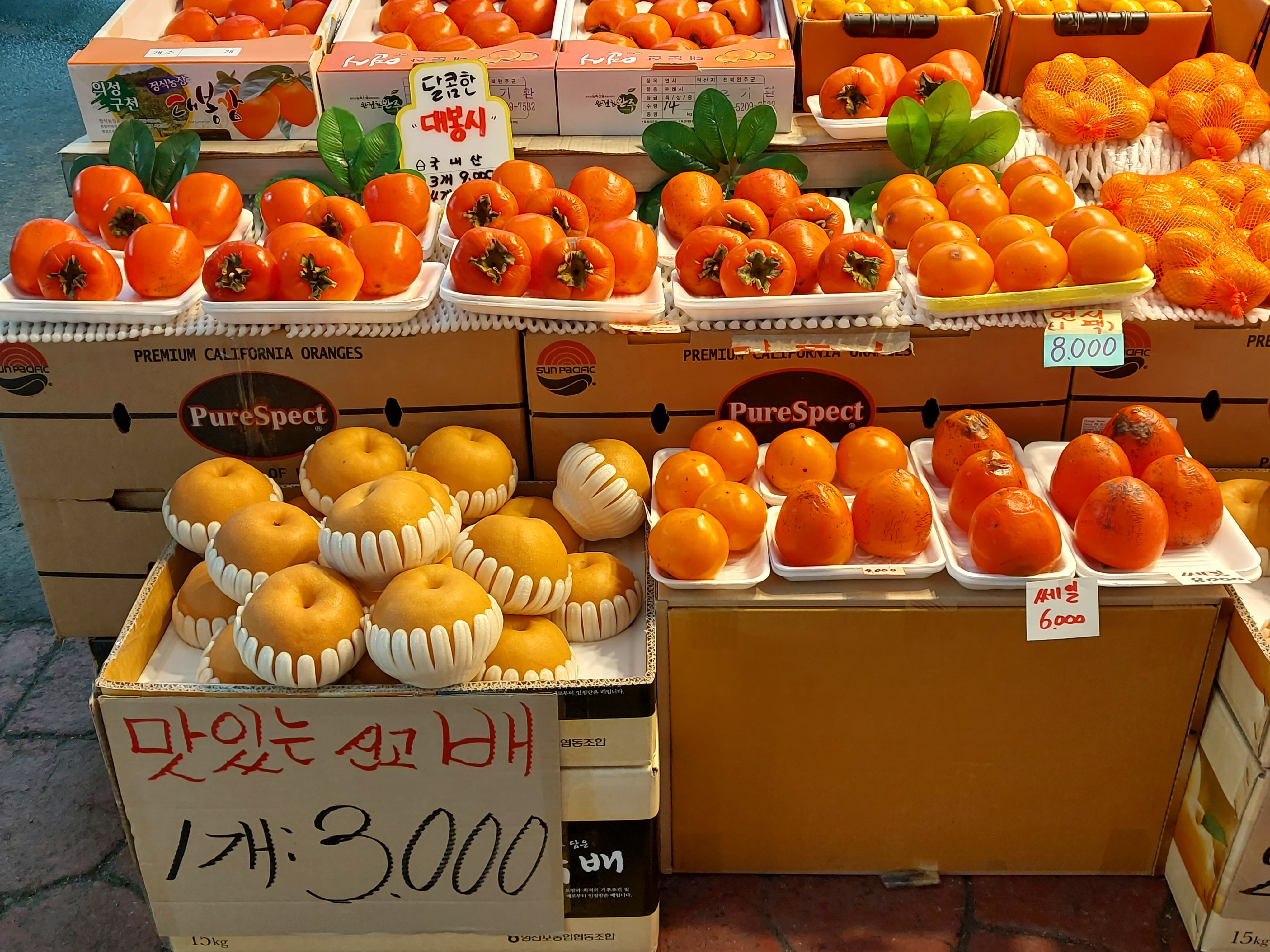 과일나라