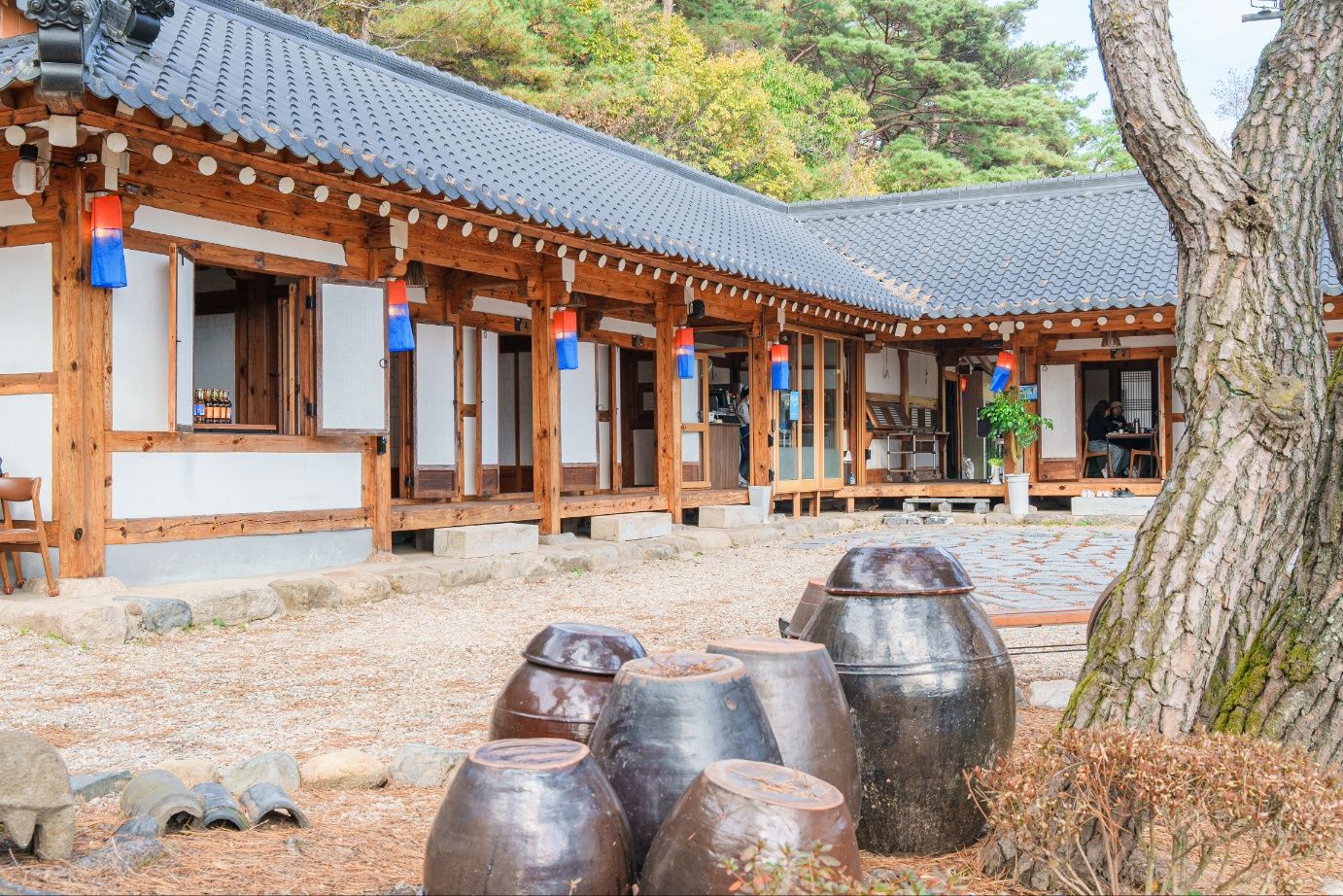 소솜당 이미지 2