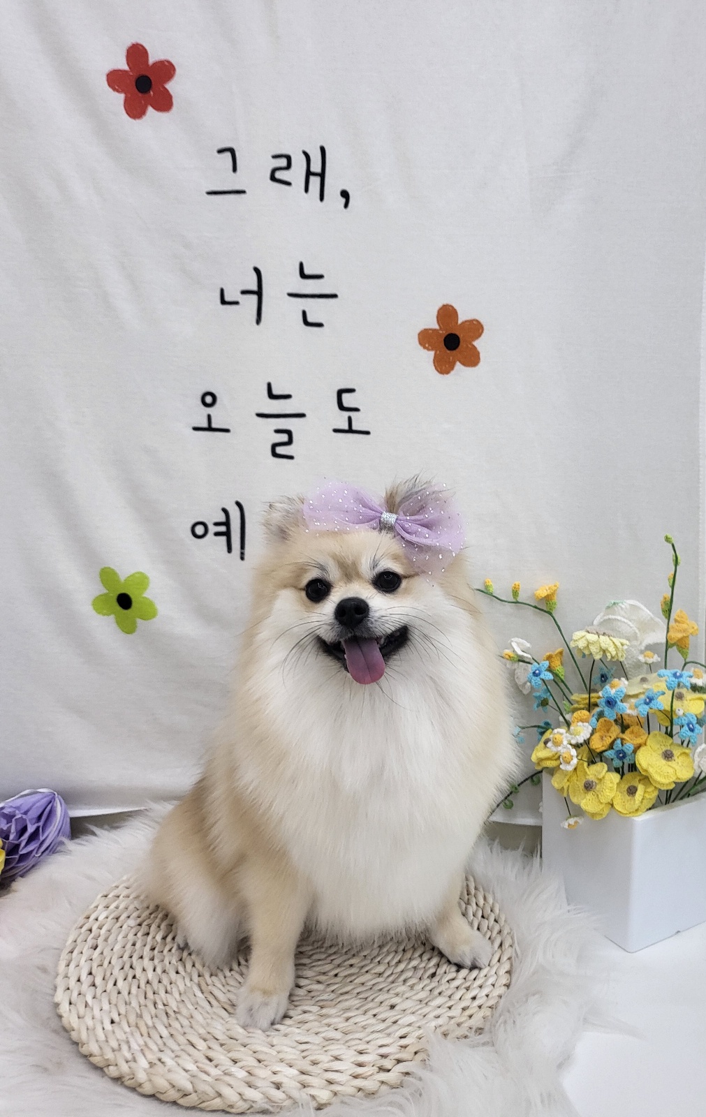 몽슈 대표 이미지