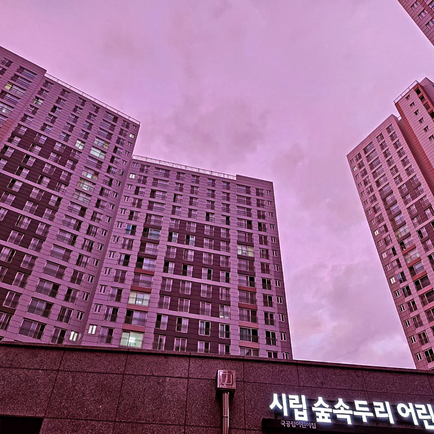 시립숲속두리어린이집