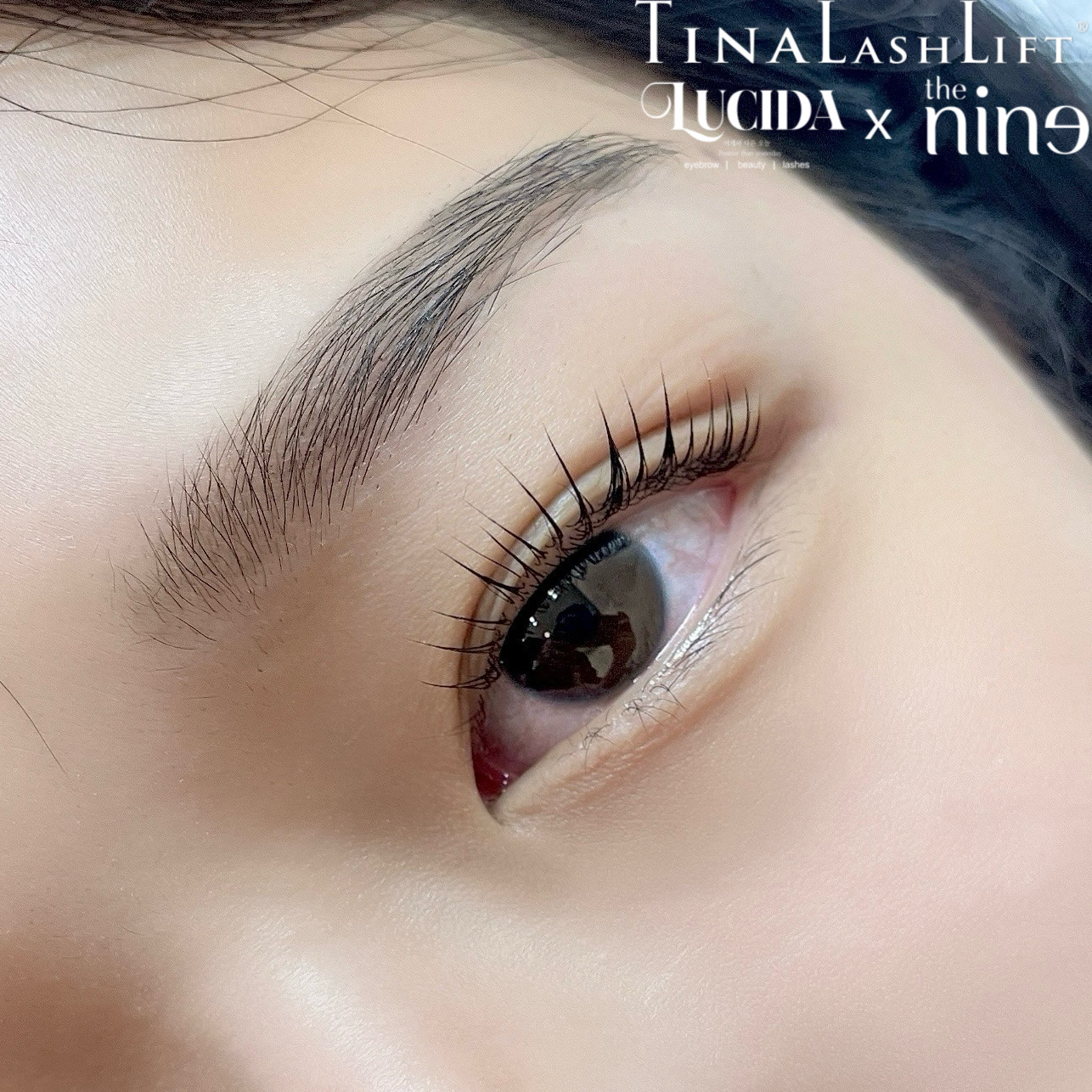 루시다 더나인 대표 이미지