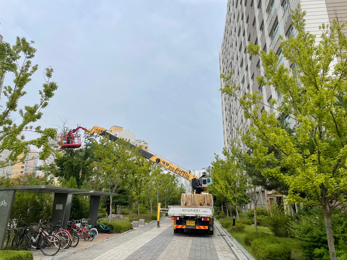 해오름숲아파트조경유지관리식재시설물위험수목제거벌목보도블럭