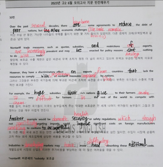 신디 영어 대표 이미지