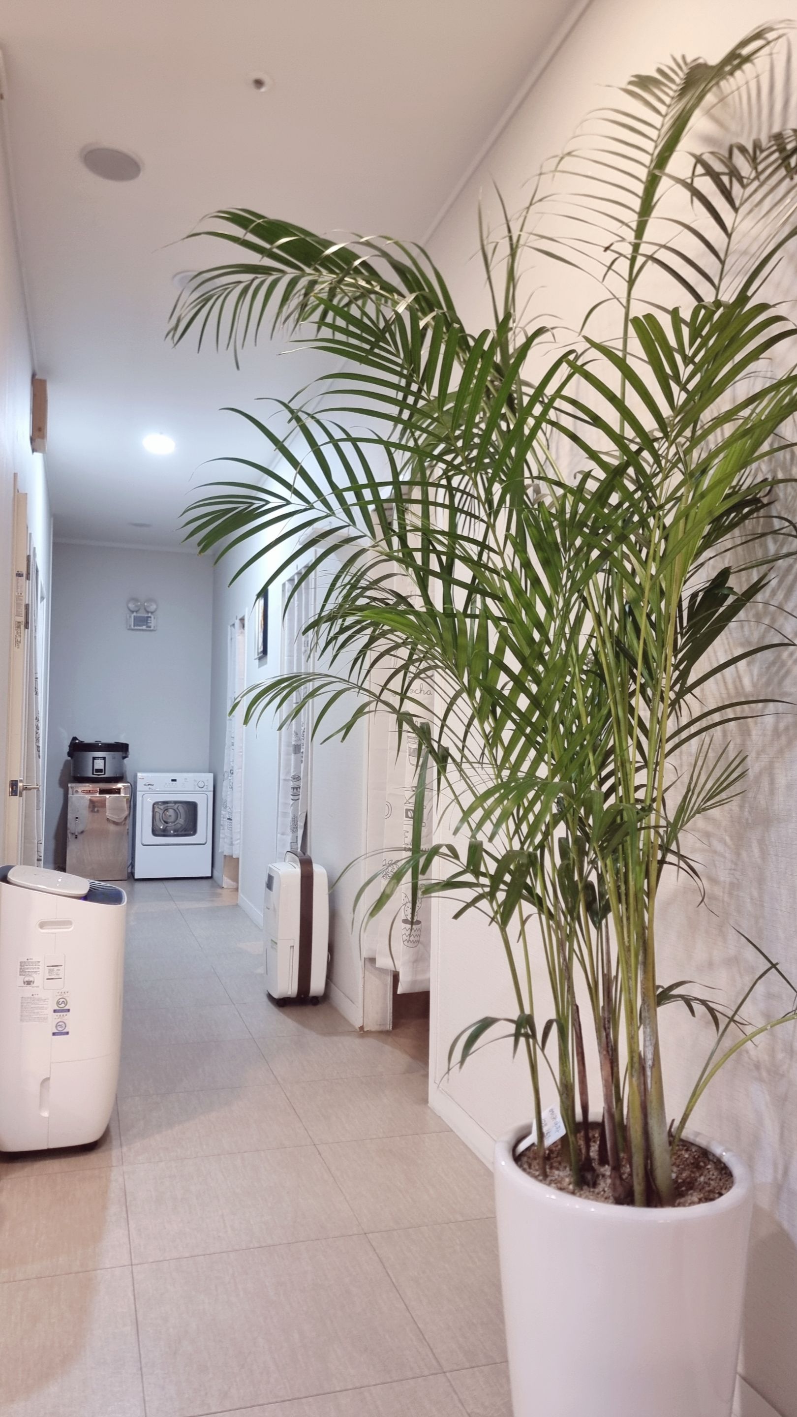 별가람 중국전통 마사지 photo 3