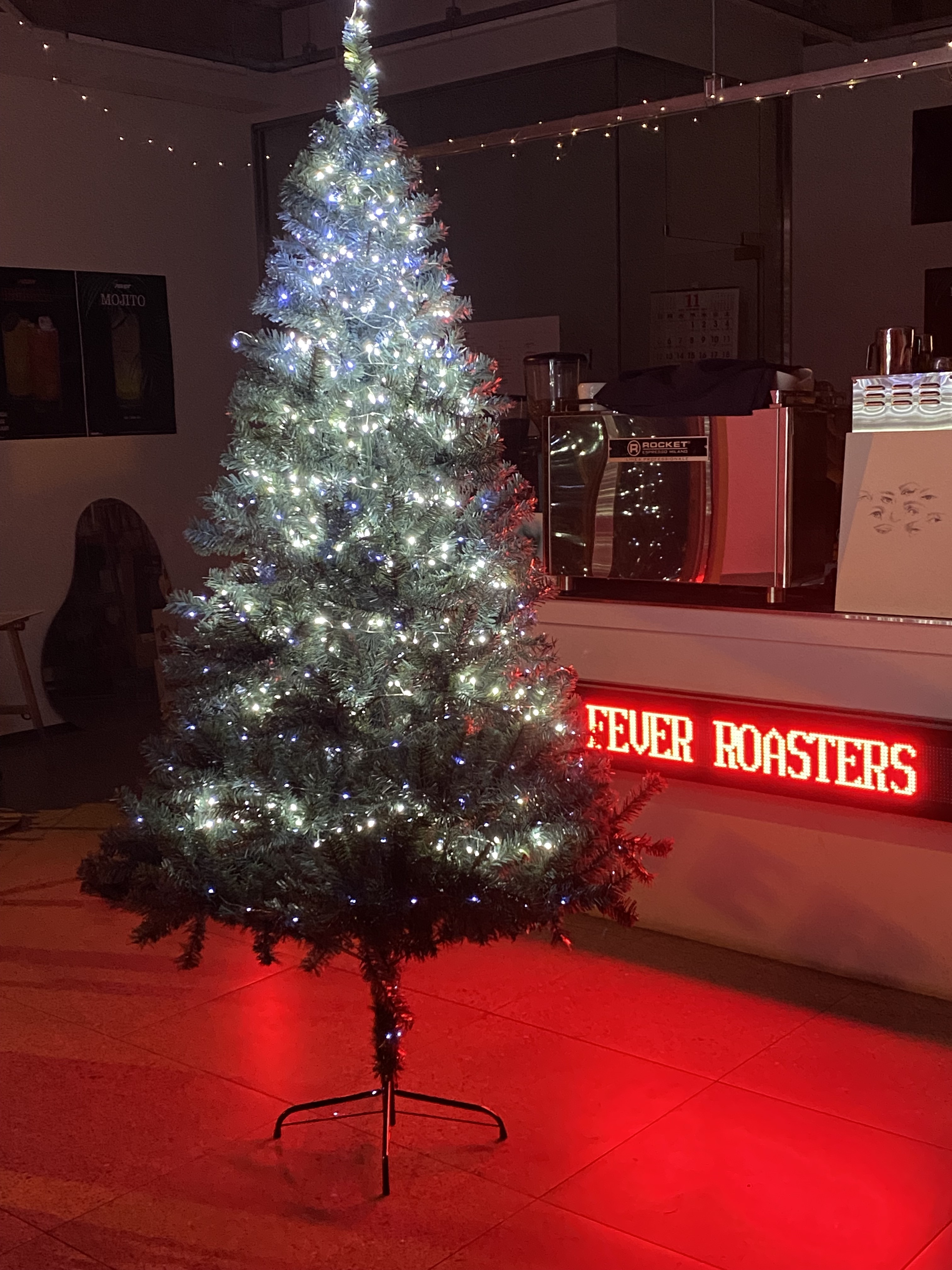 피버로스터스 대표 이미지