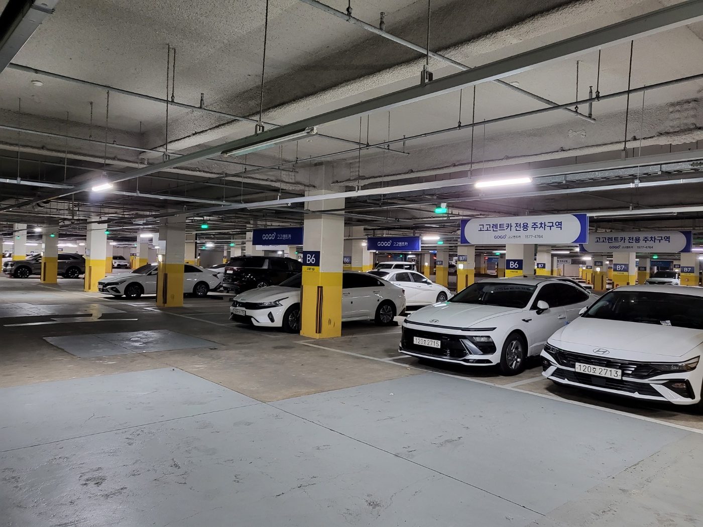 고고렌트카 여수점 대표 이미지