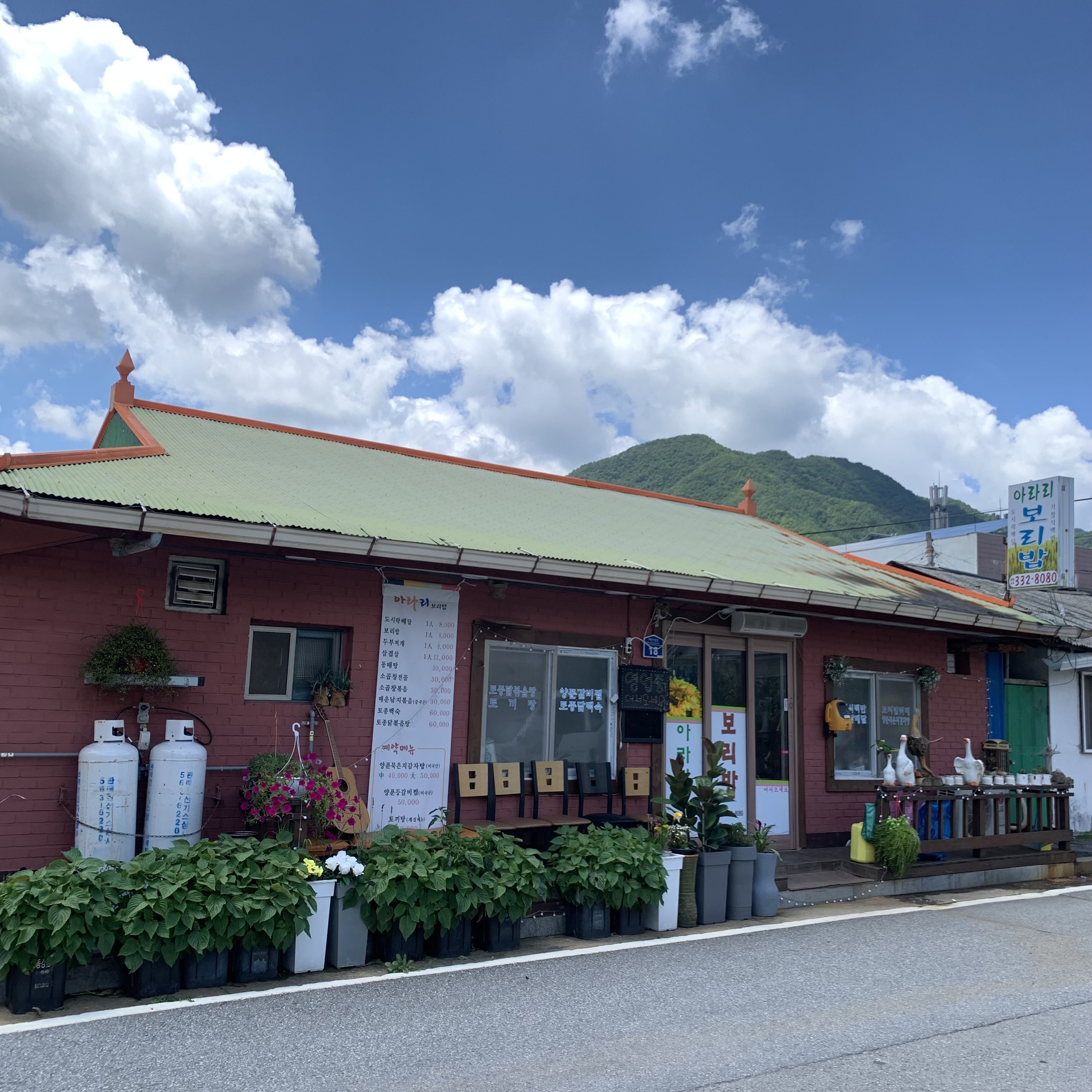 아라리보리밥 설명사진