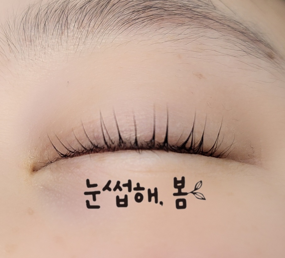 눈썹해봄