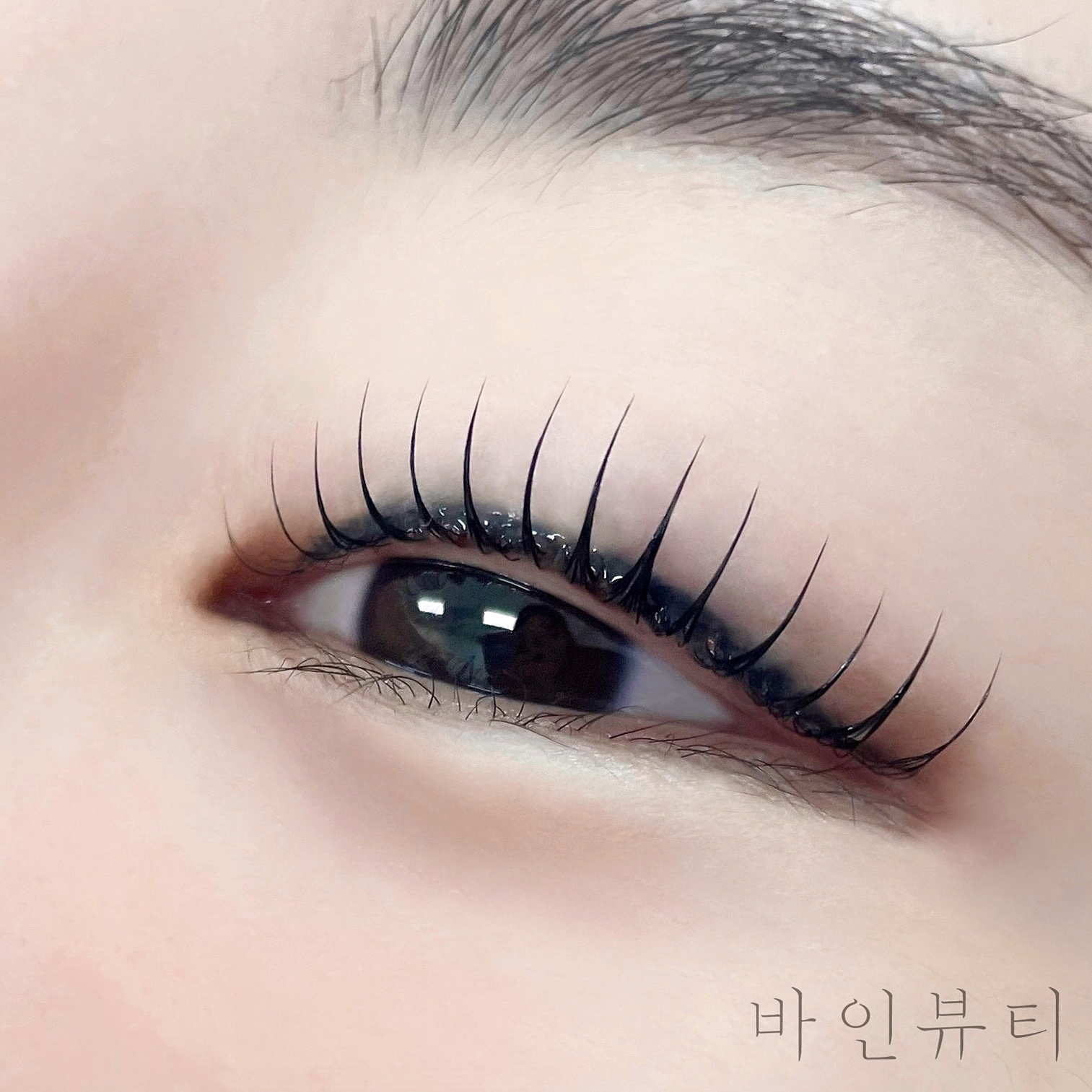 바인뷰티