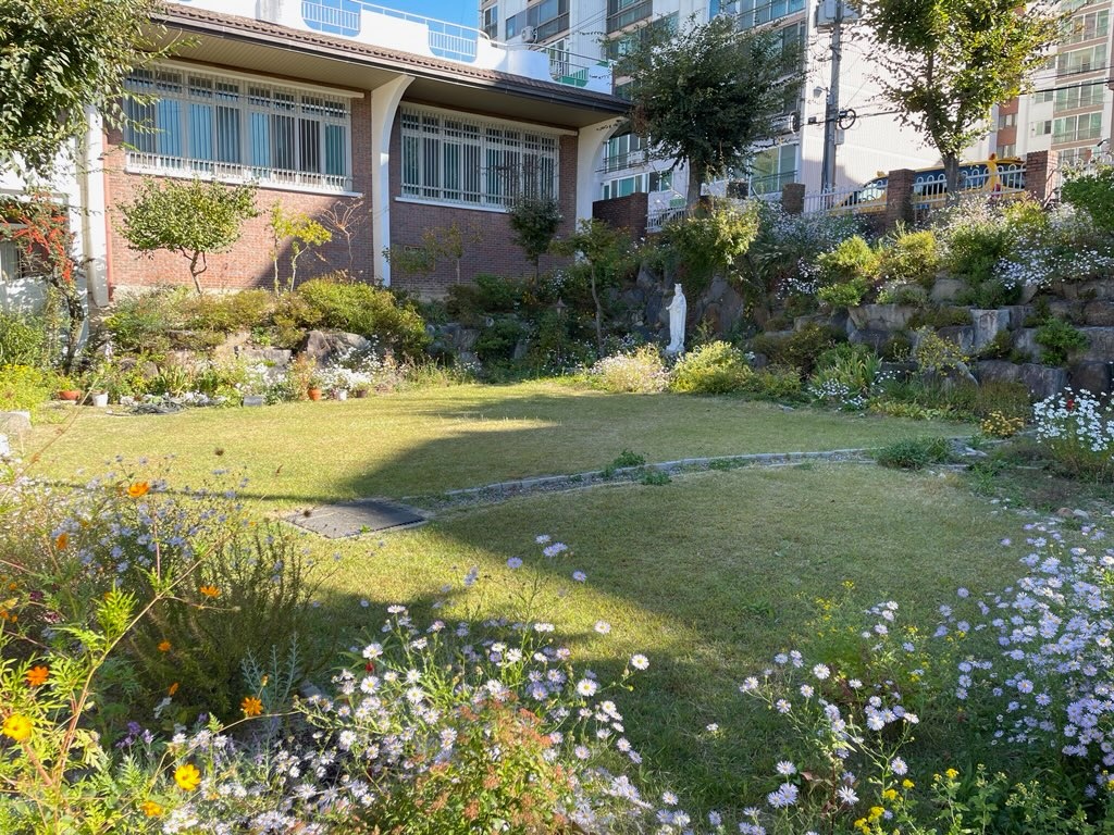 젊음의 집