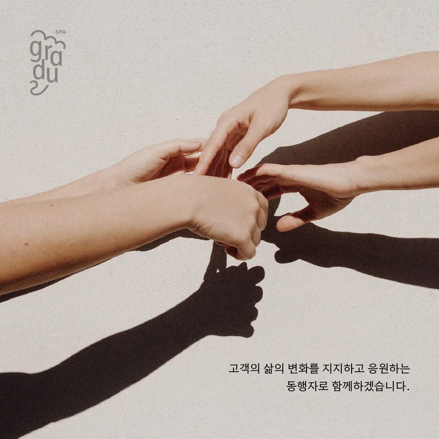스파그라두스 photo 6