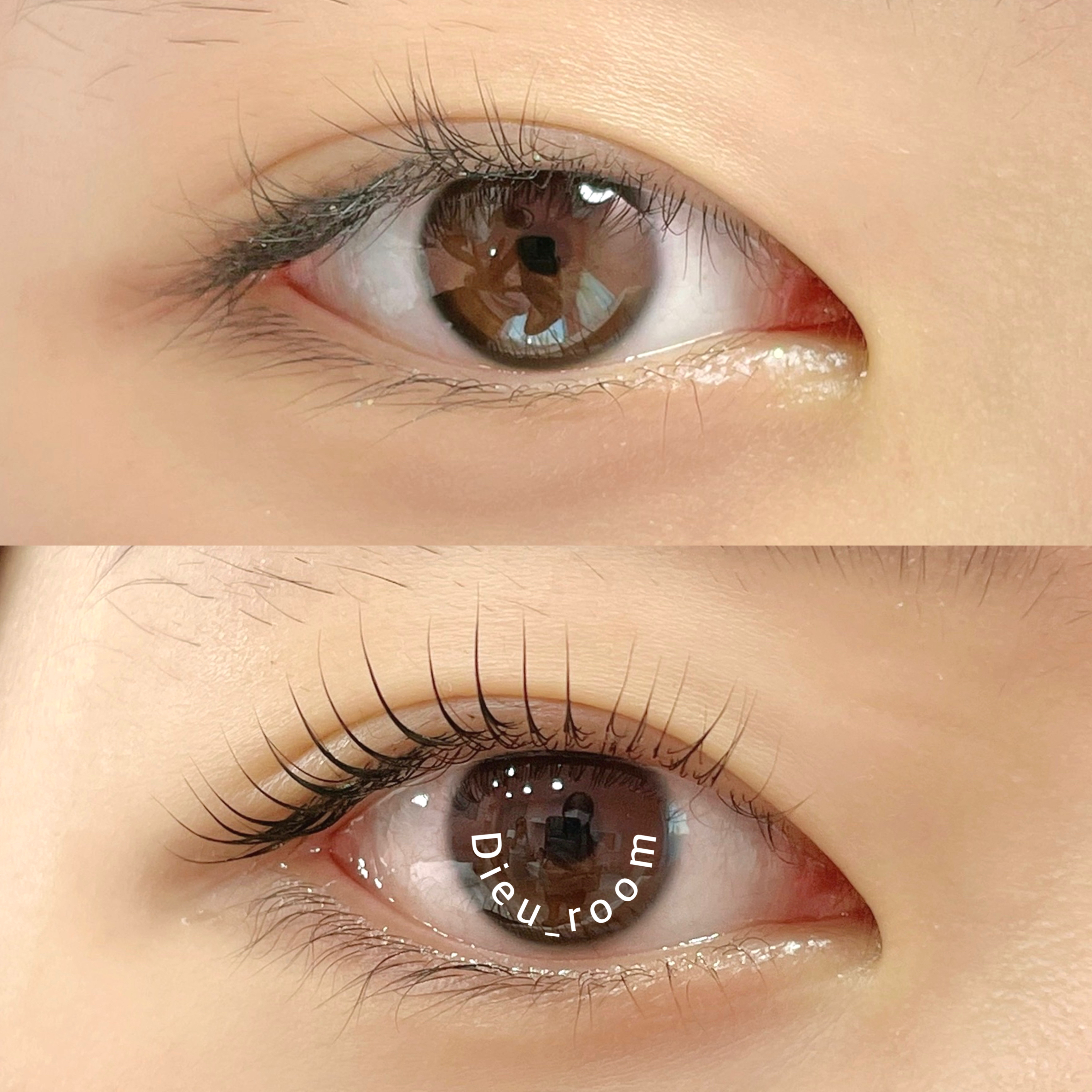 래쉬문 대표 이미지