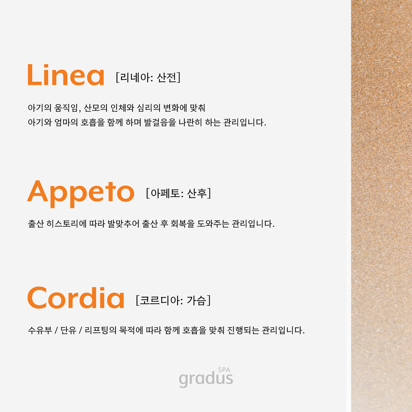 스파그라두스 photo 4
