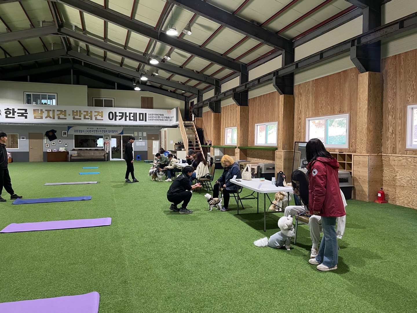 한국탐지견반려견아카데미 대표 이미지