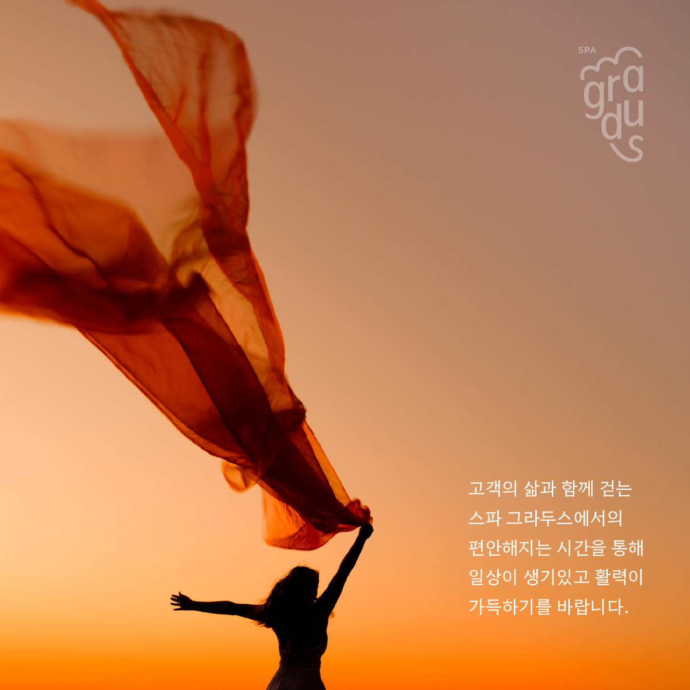스파그라두스 photo 8