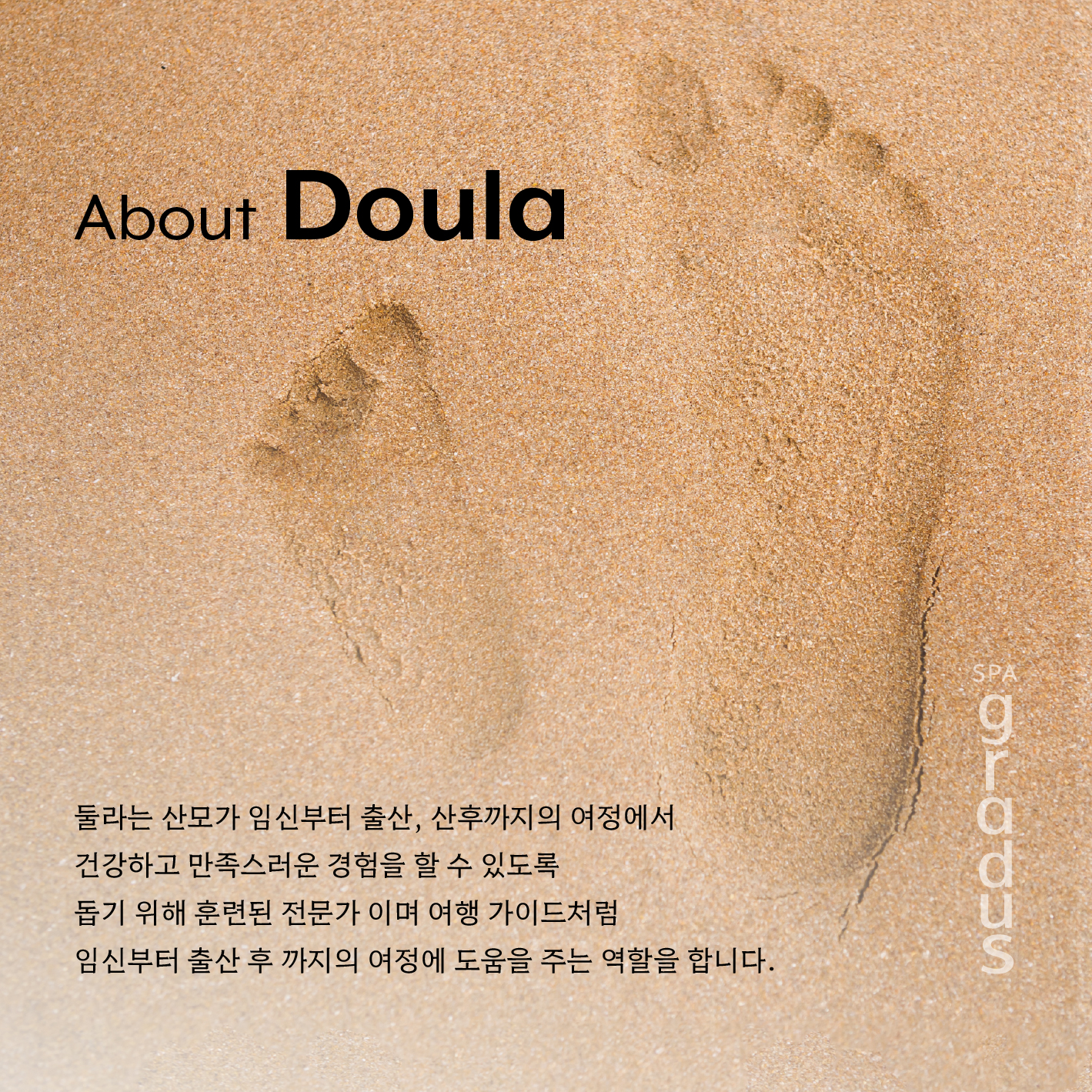 스파그라두스 photo 7