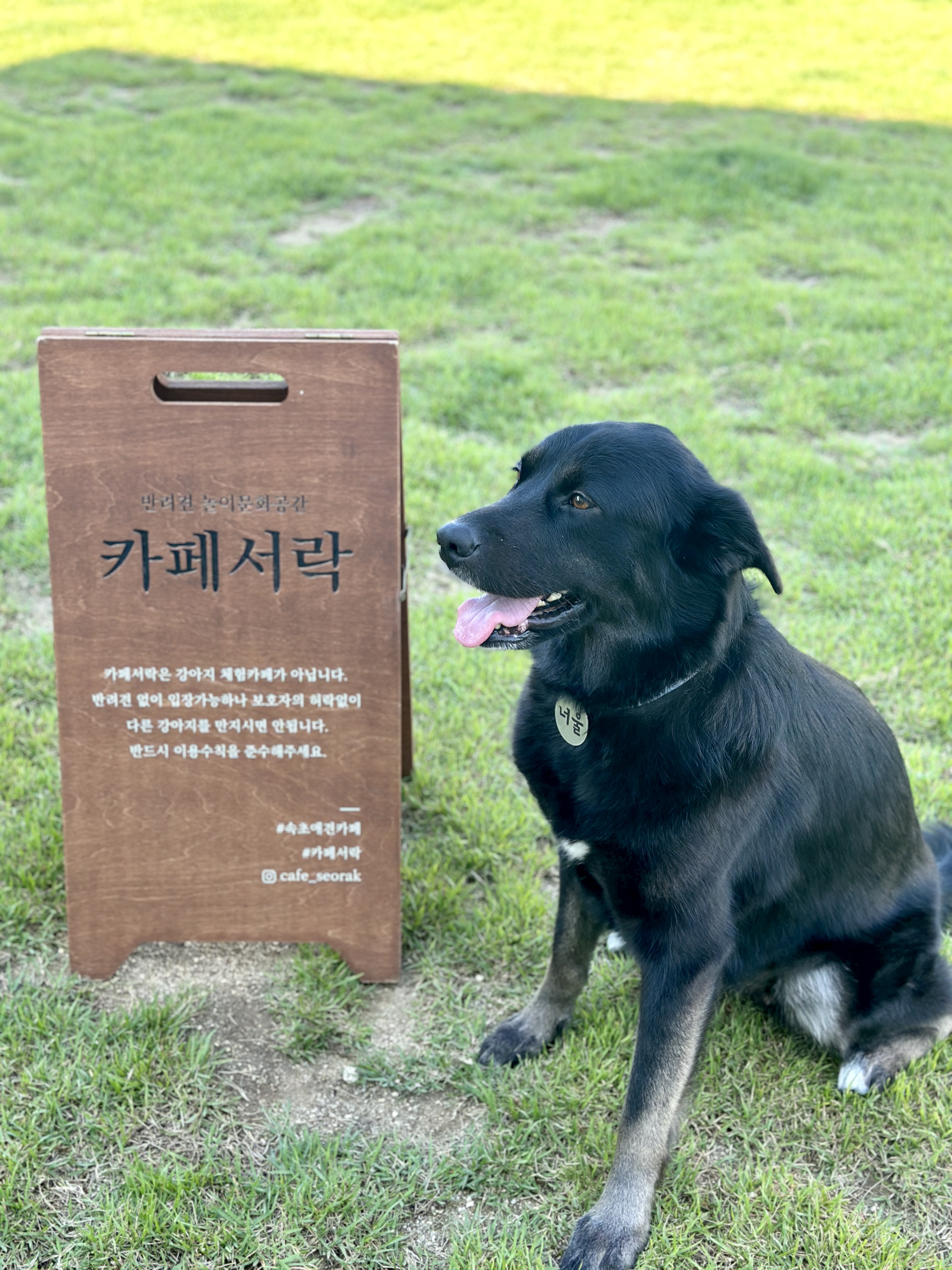 카페서락 대표 이미지