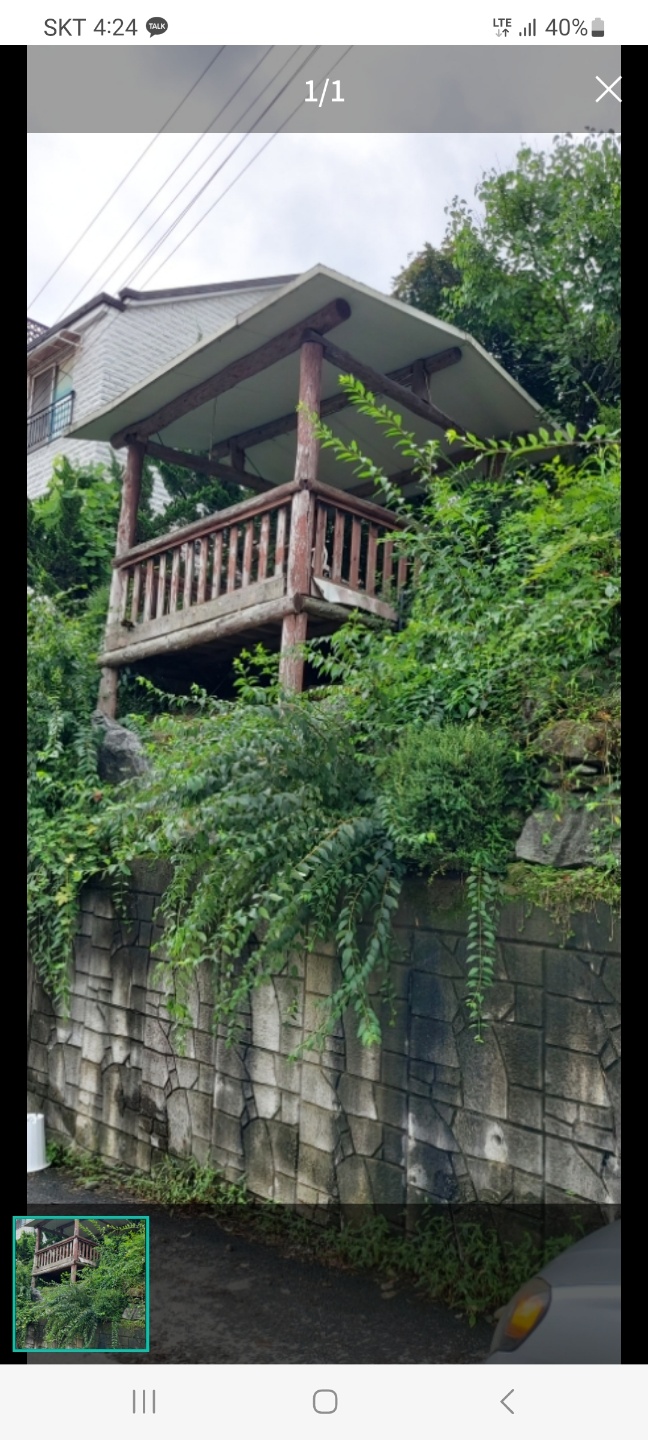 푸른환경